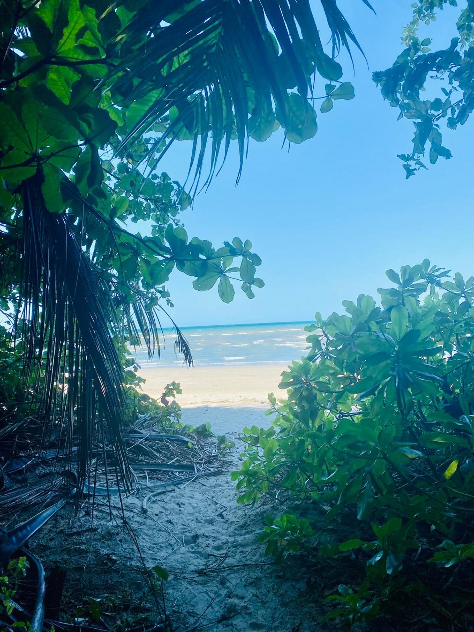 Villa Coral - Tropical Oasis Footsteps to Four Mile Beach