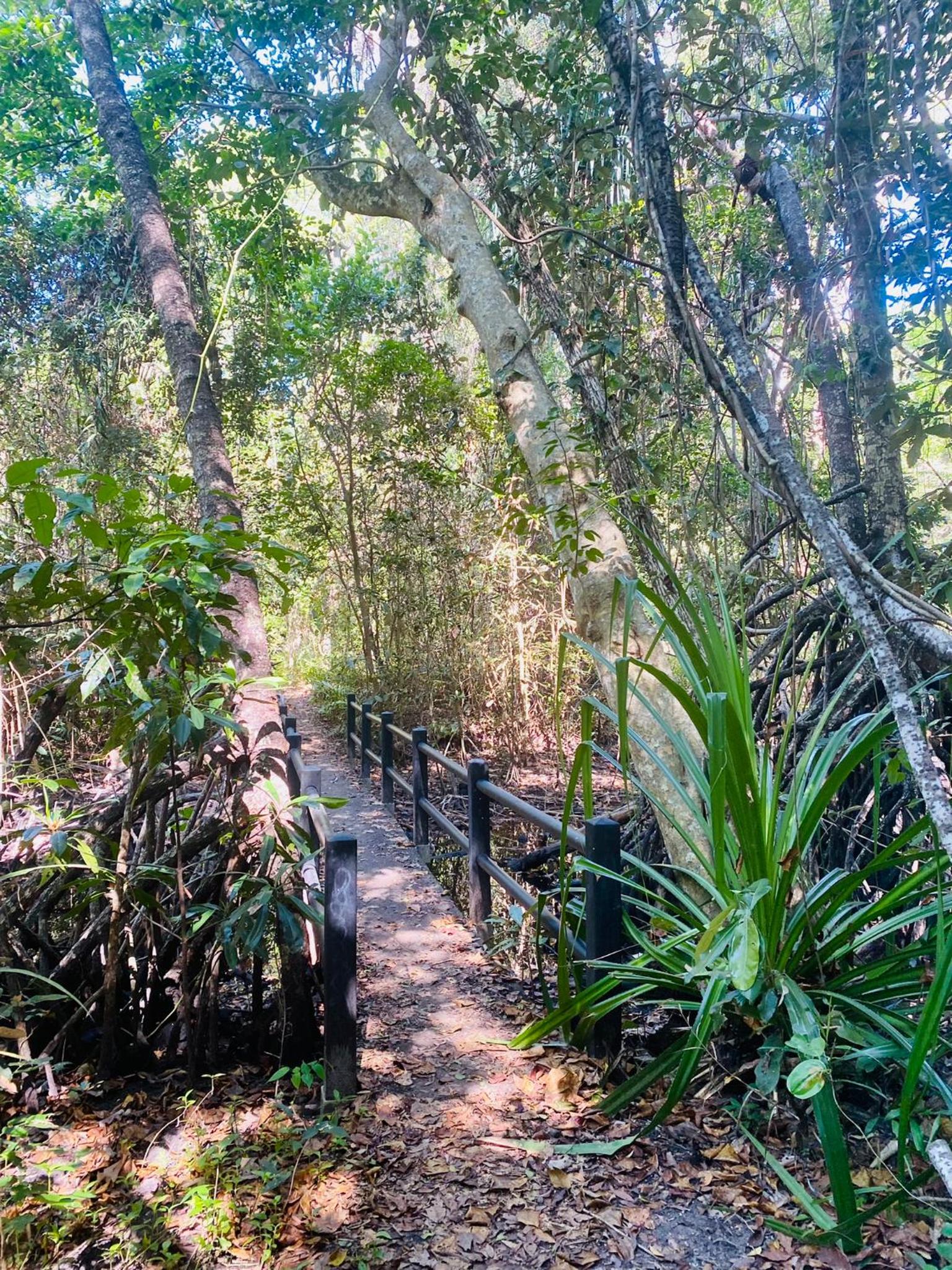 Villa Coral - Tropical Oasis Footsteps to Four Mile Beach