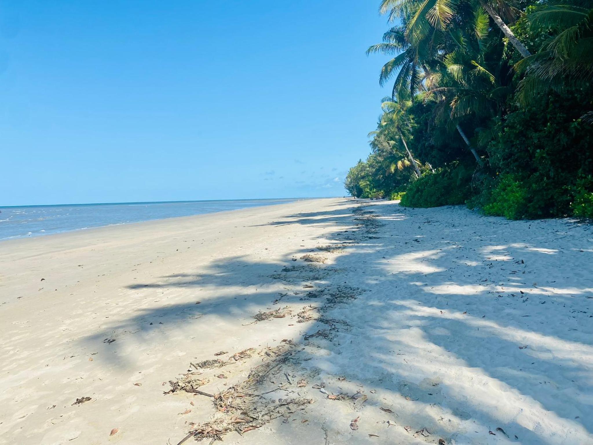 Villa Coral - Tropical Oasis Footsteps to Four Mile Beach
