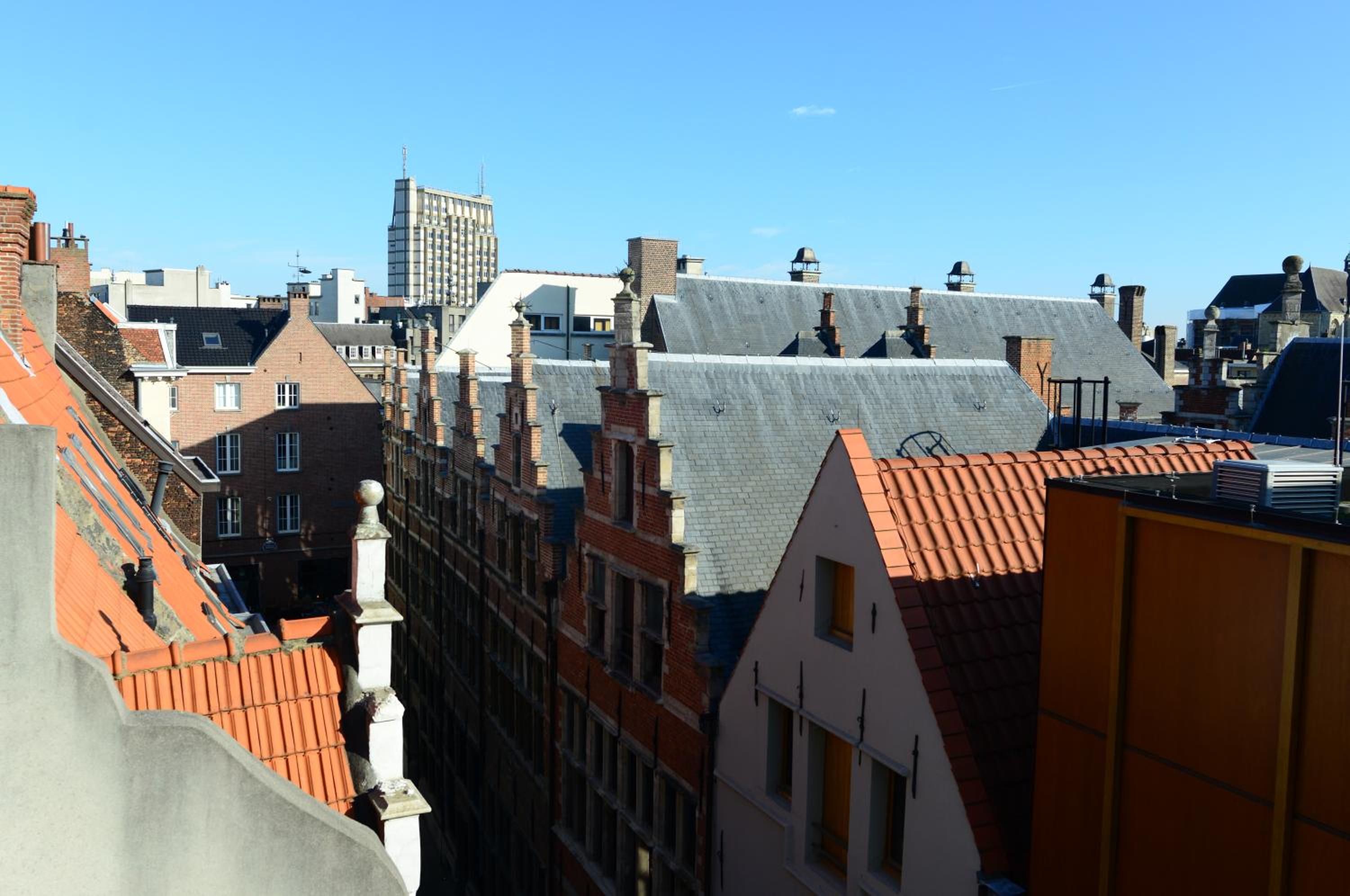 Downtown spacious 2BDR Apartments 2