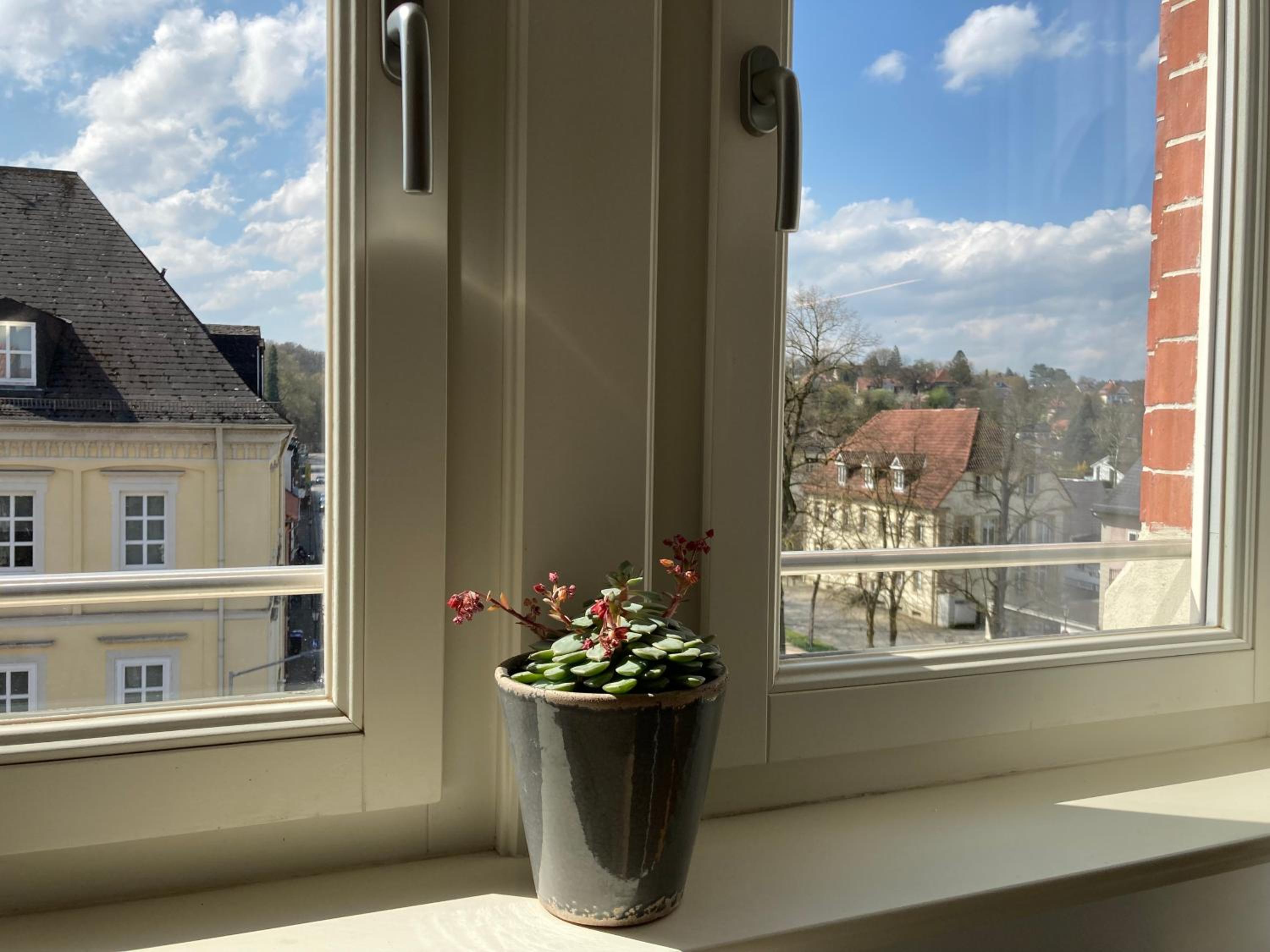 RaumAusbeute Design Apartment NaturRaum