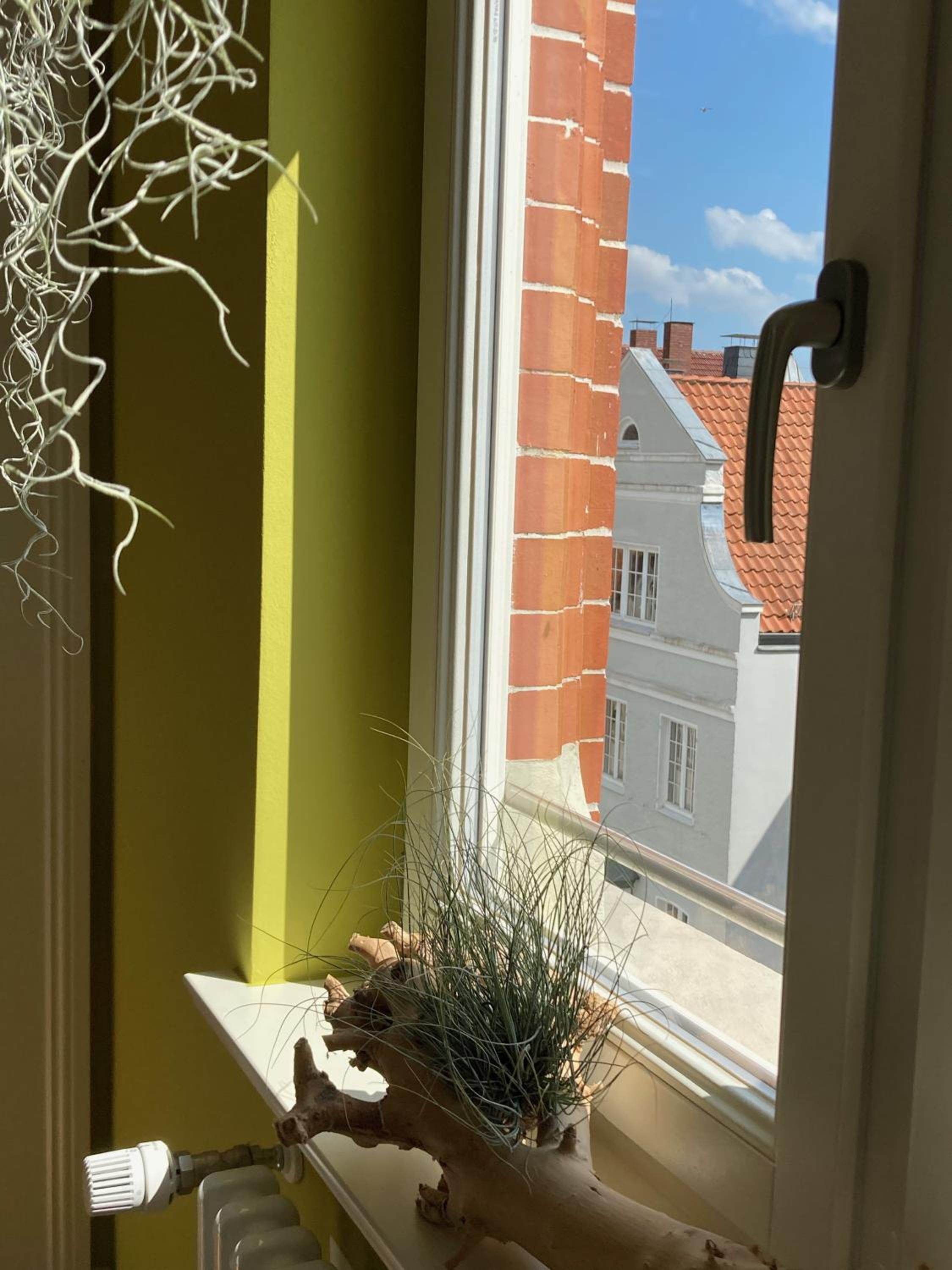 RaumAusbeute Design Apartment NaturRaum