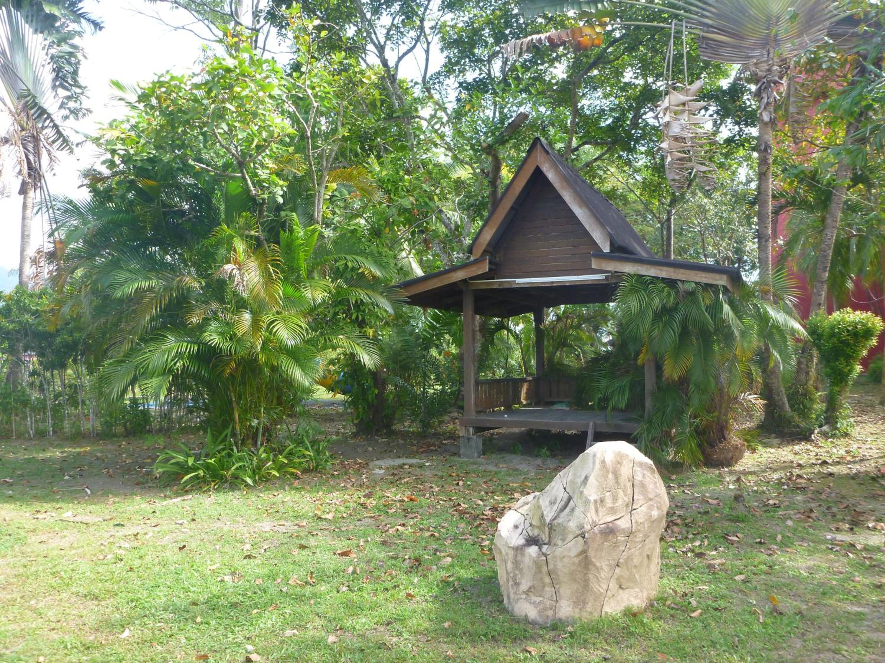Photo 41
