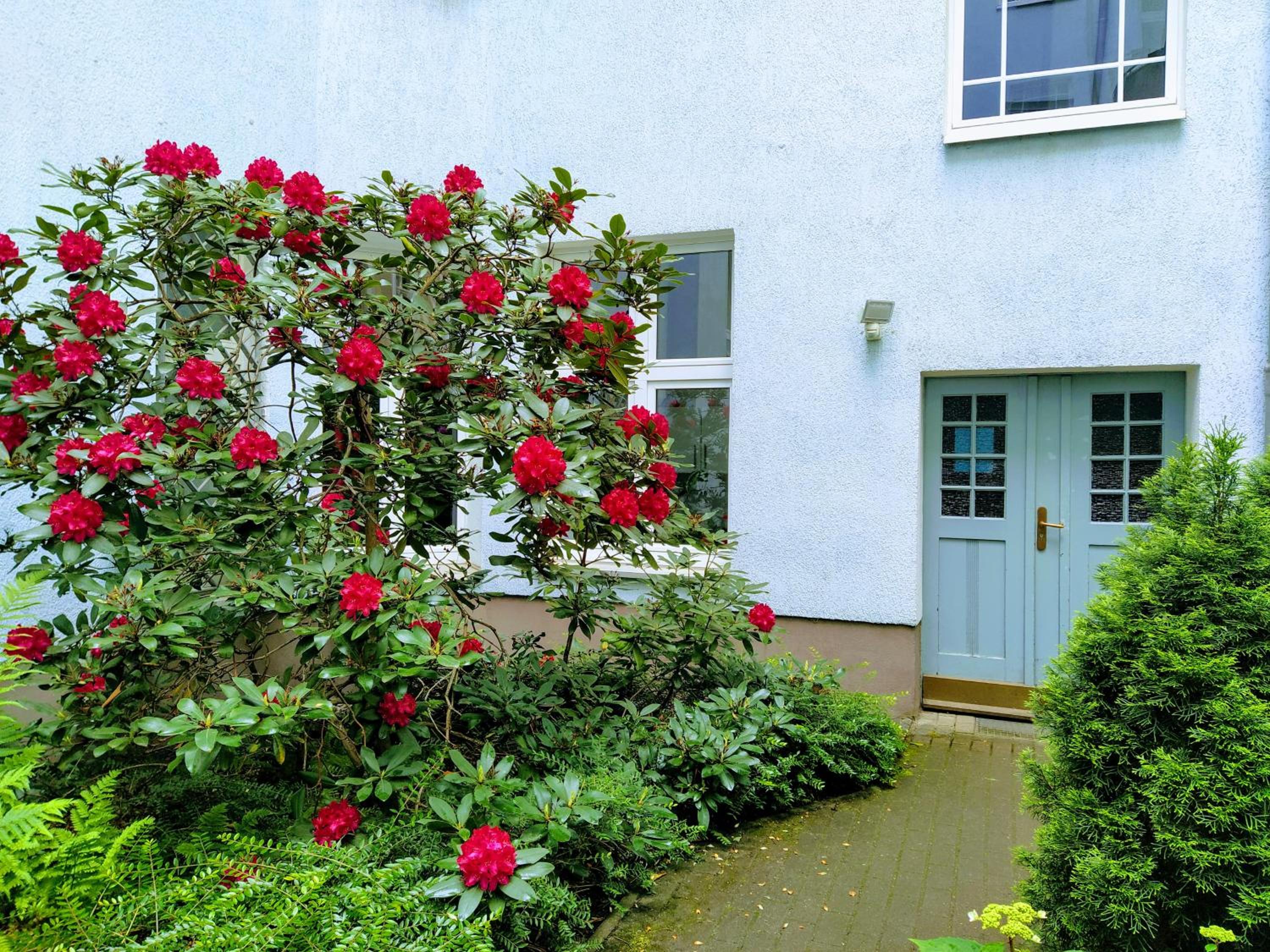 Quiet studio apartment in Prenzlauer Berg near Mauerpark