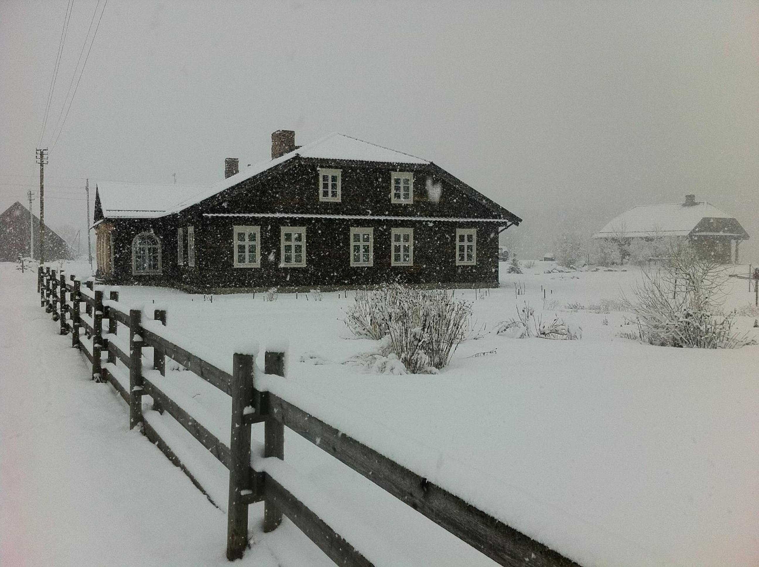 Photo 41