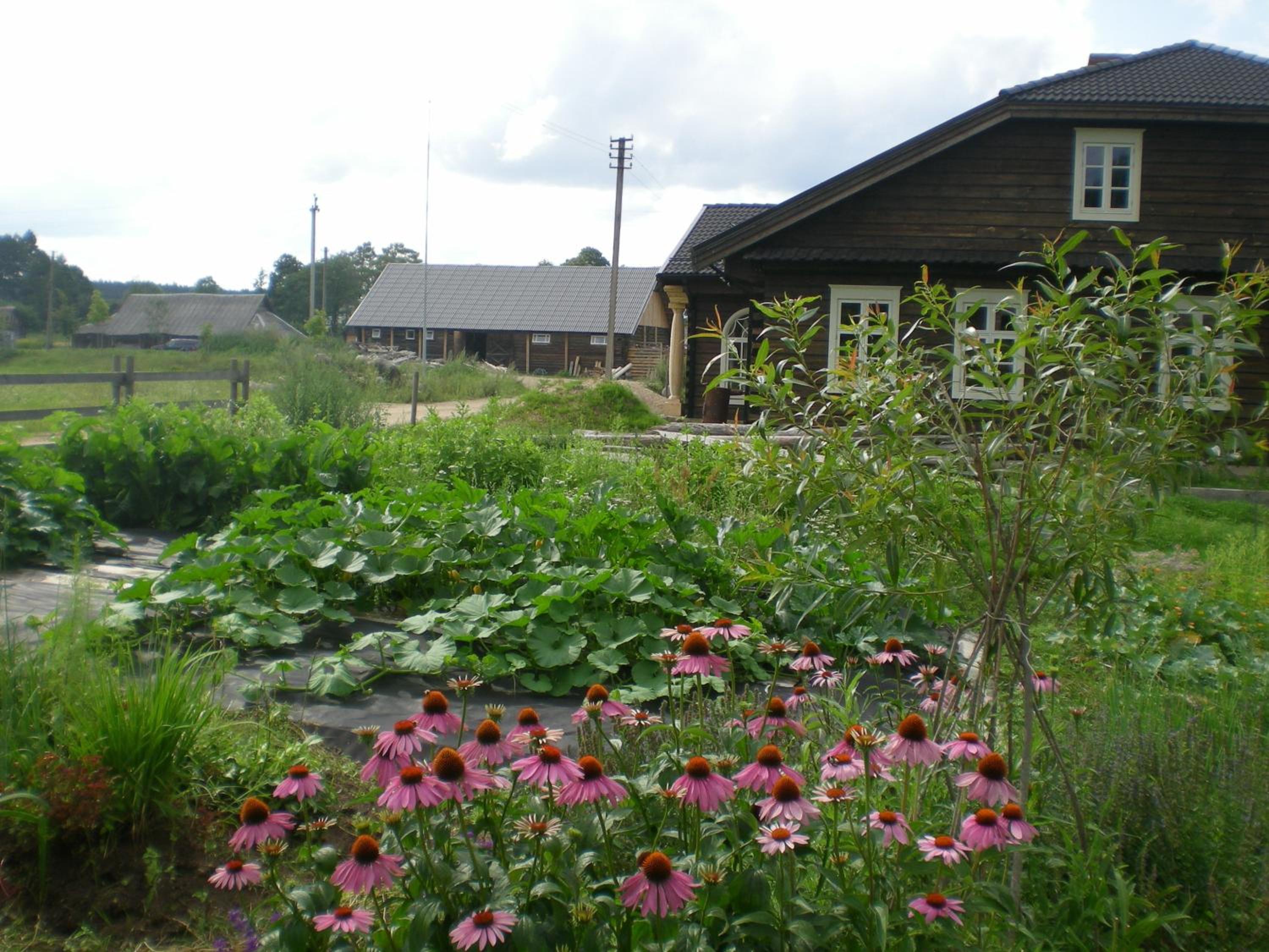 Senosios Gegužinės ūkis view 2