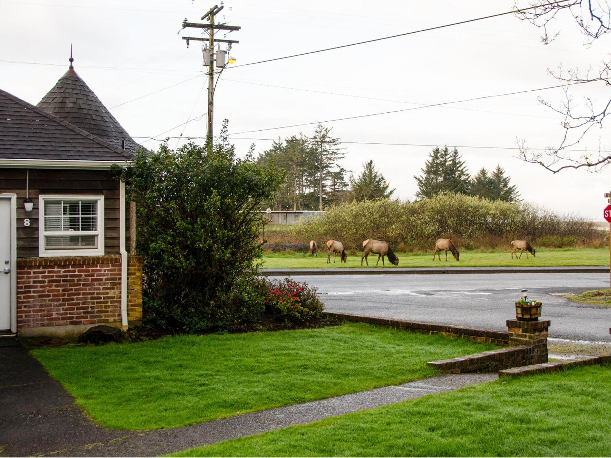 Ecola Creek Lodge