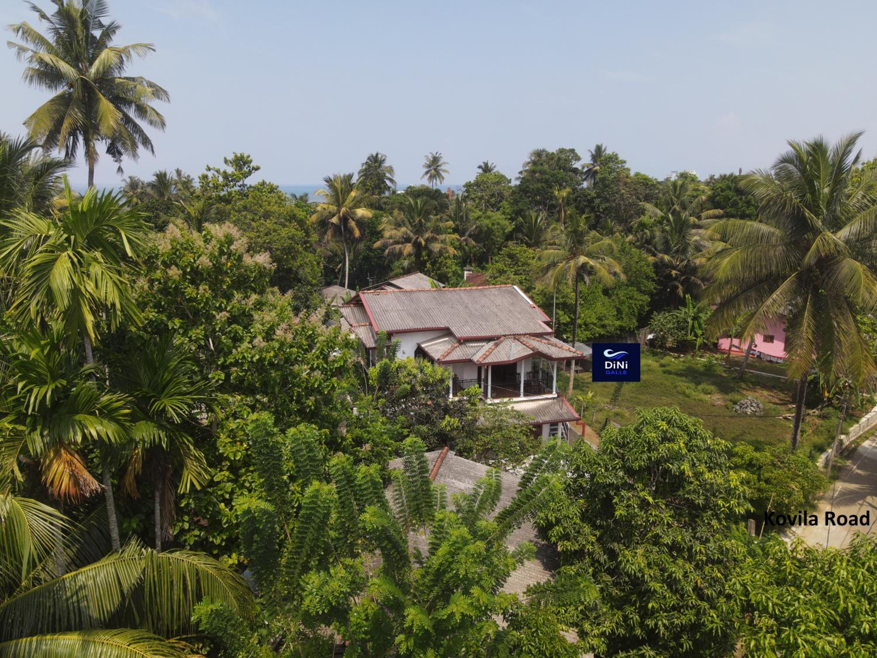 DiNi Galle