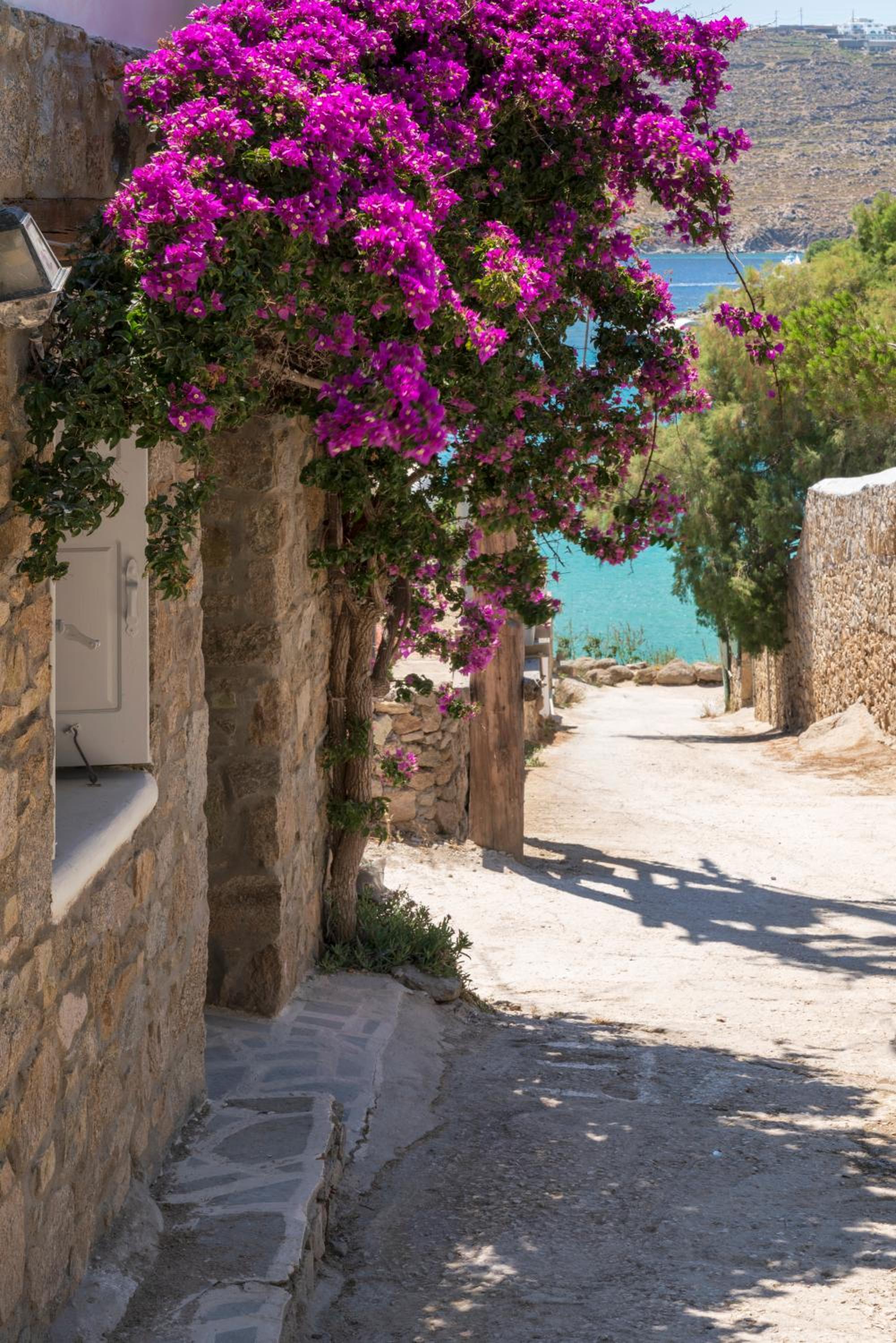 myMykonos Guest House photo 2