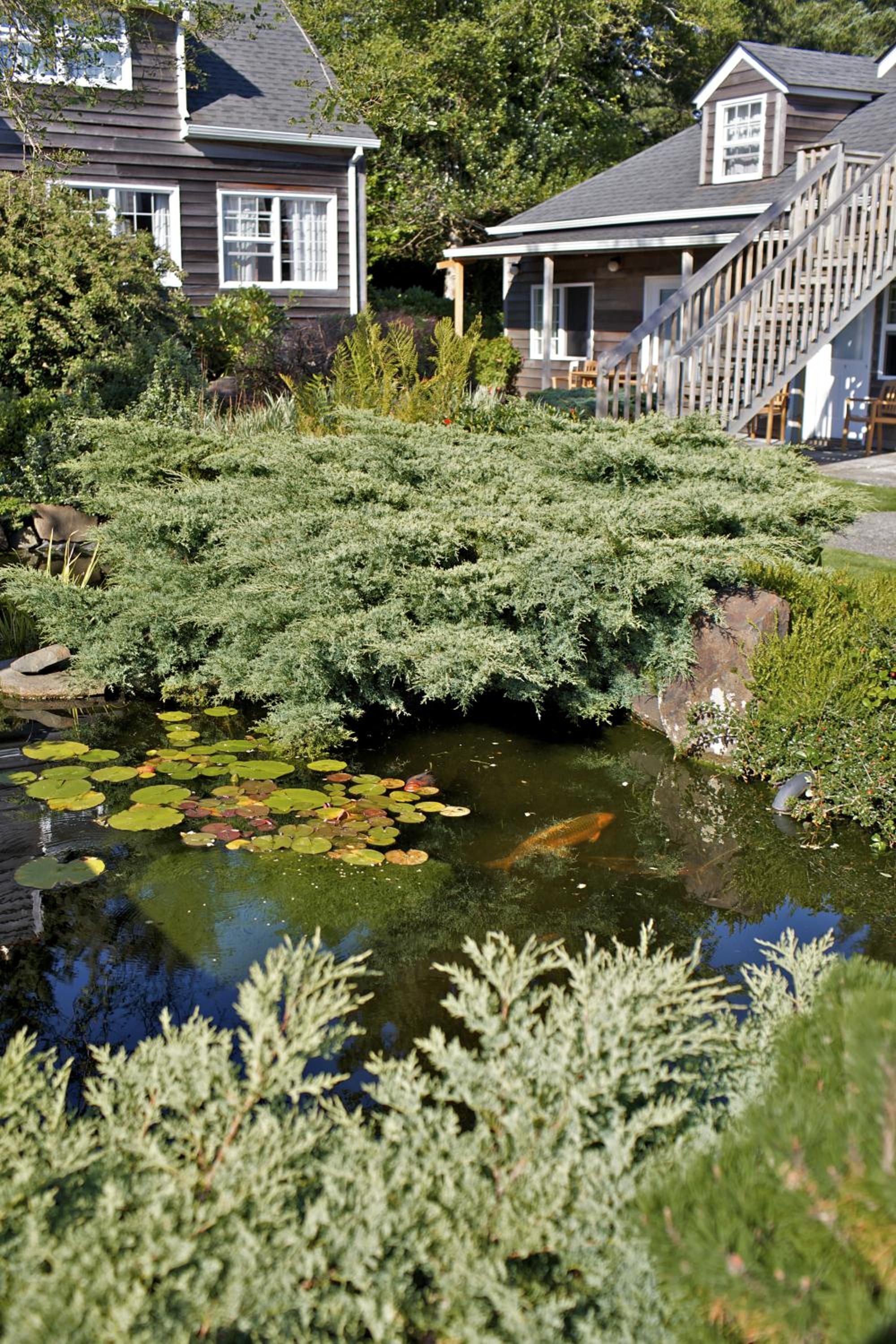 Ecola Creek Lodge