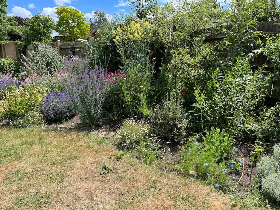 2 bed flat - SW London with parking view 5