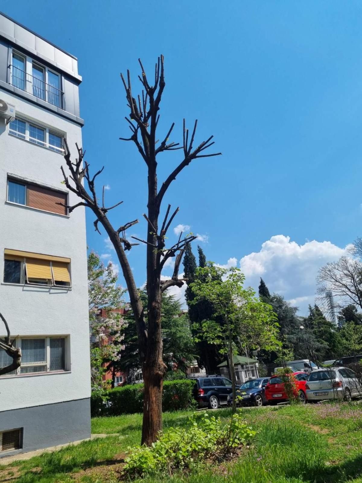 Atelje