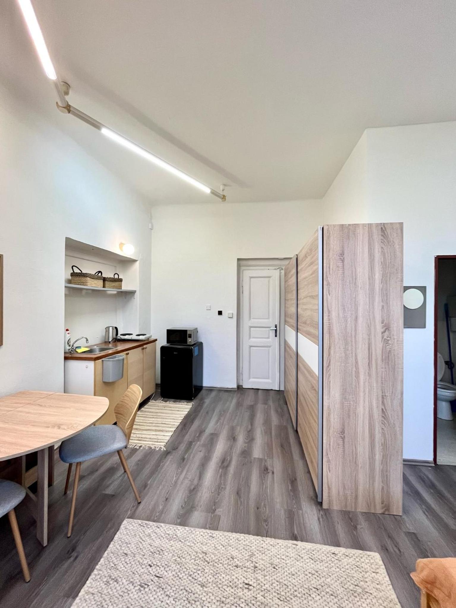 1 bedroom studio close to Palmovka