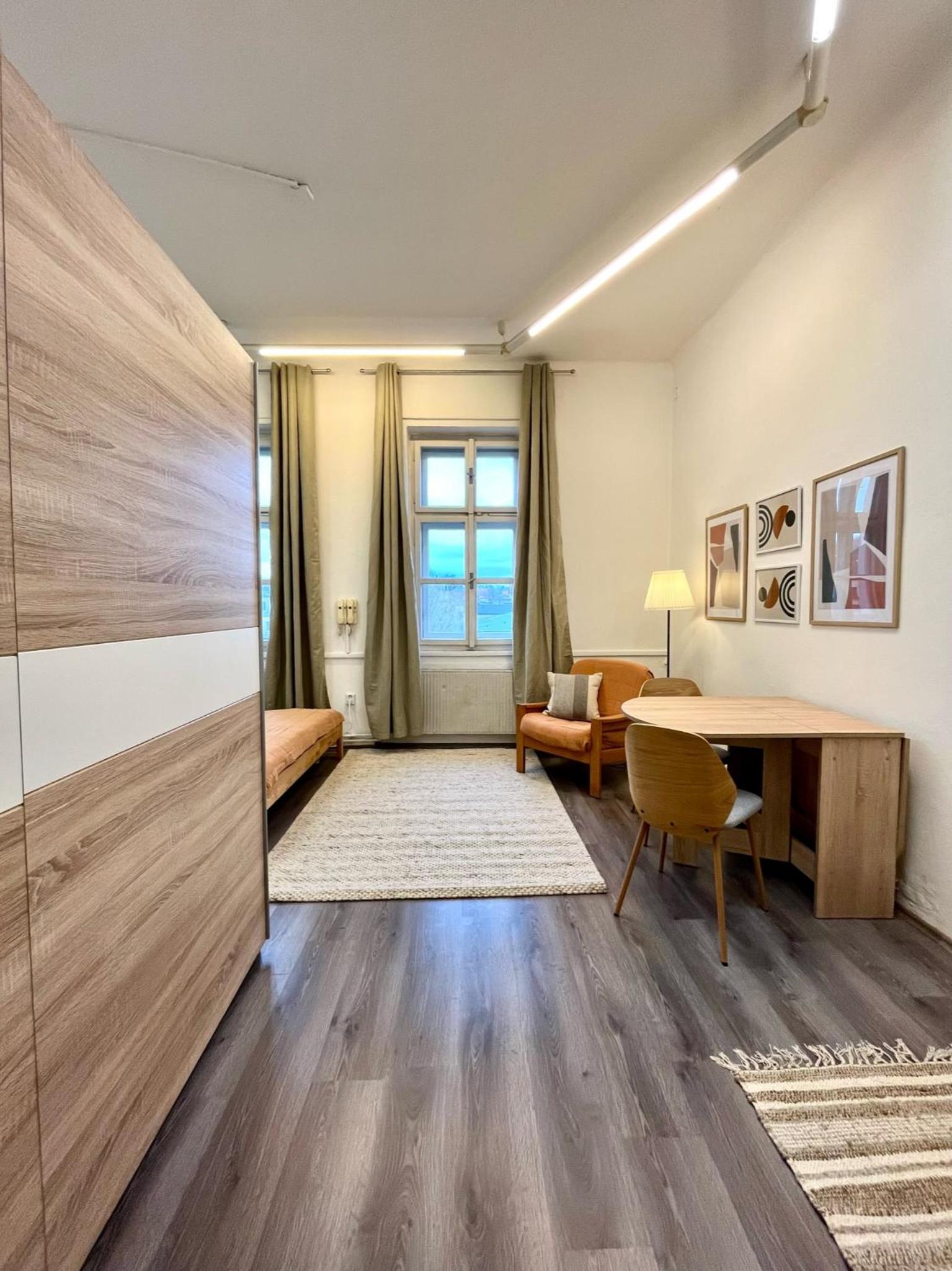 1 bedroom studio close to Palmovka