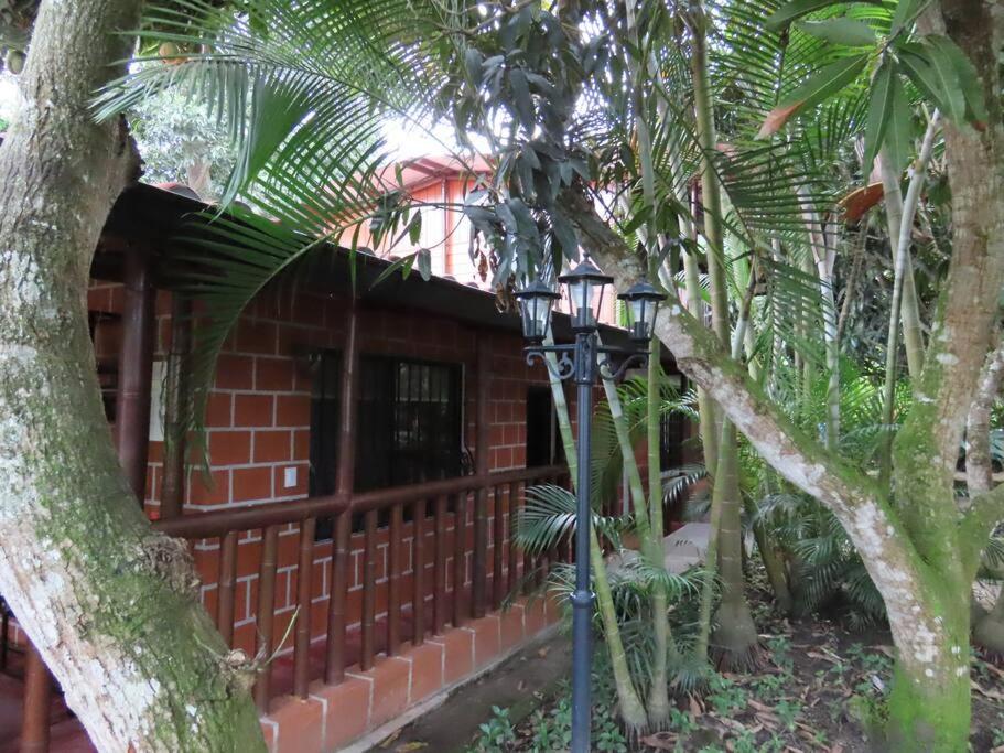 Cabaña El Susurro Del Agua - Ibagué