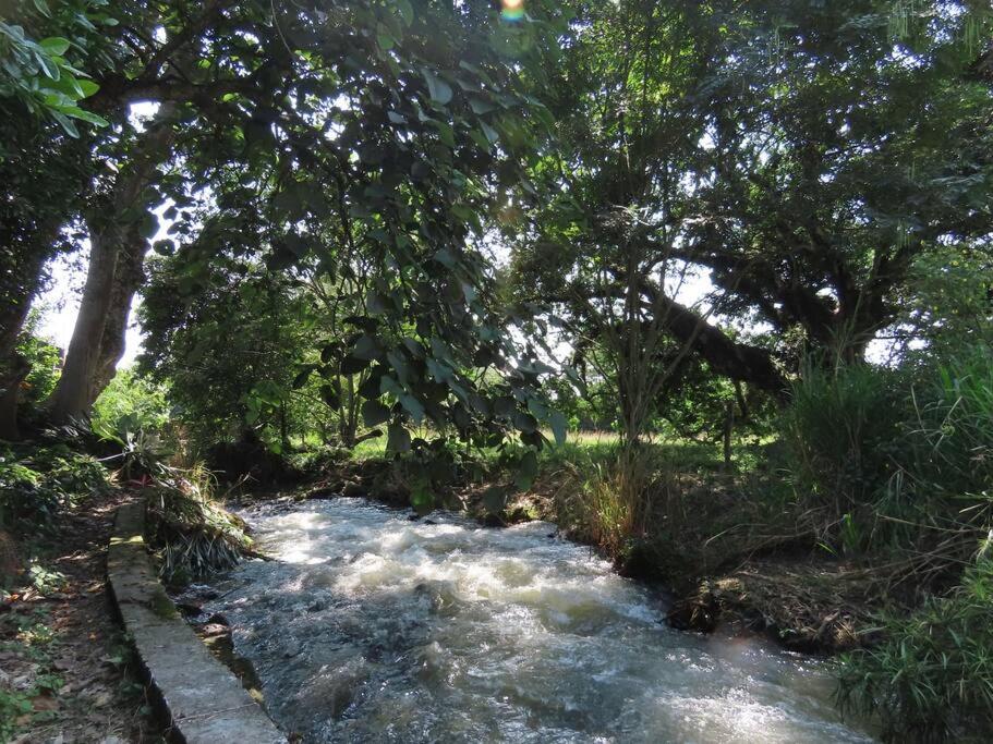 Cabaña El Susurro Del Agua - Ibagué