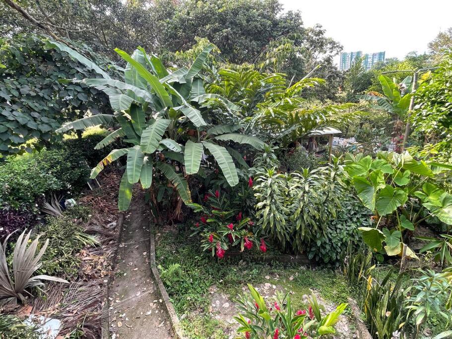 Cabaña El Susurro Del Agua - Ibagué