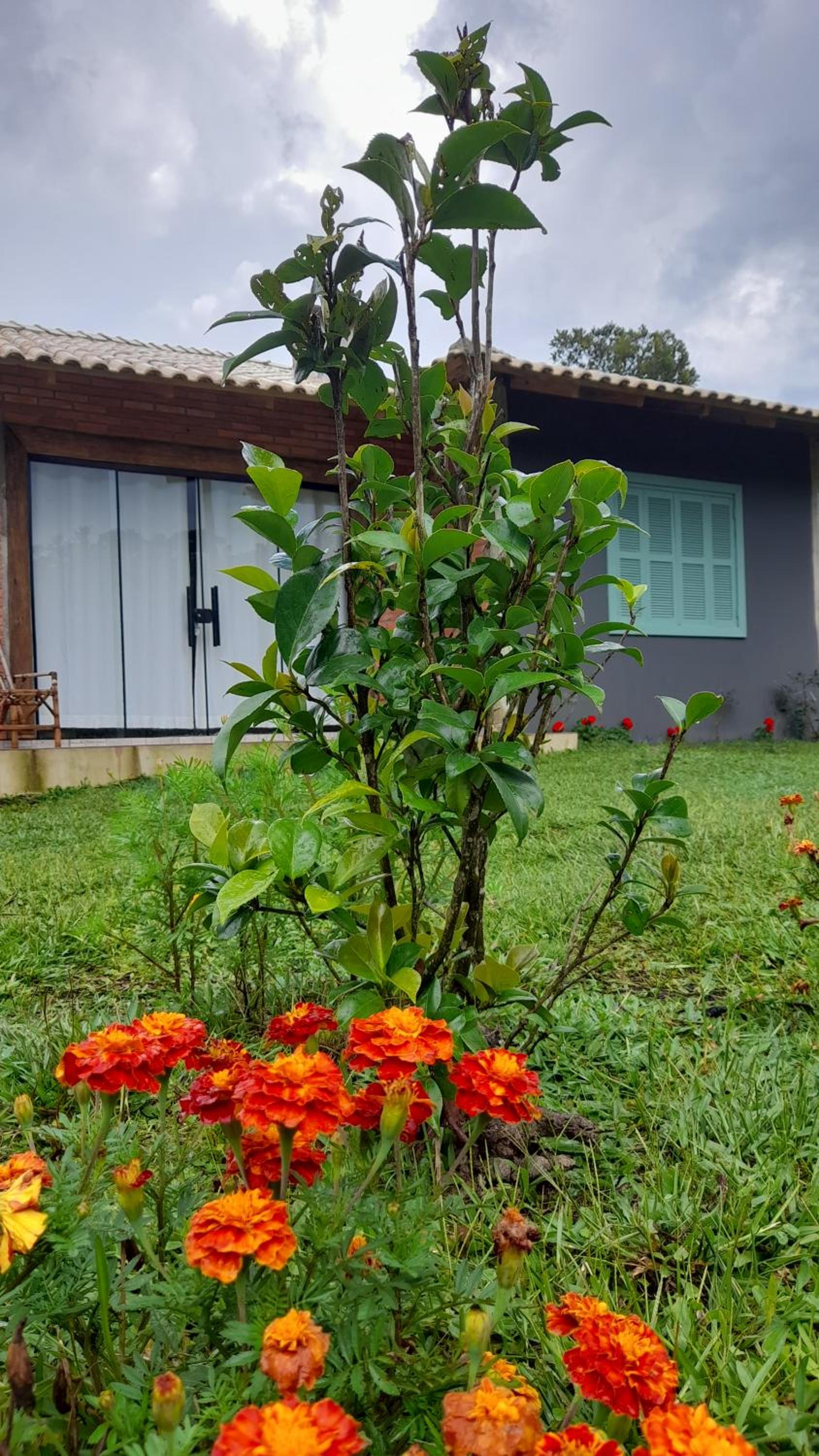 Refúgio Altos do Campestre - TURISMO RURAL