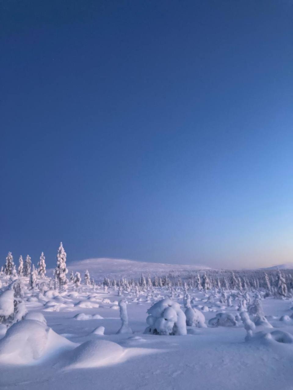 One-bedroom apartment in the center of Saariselkä