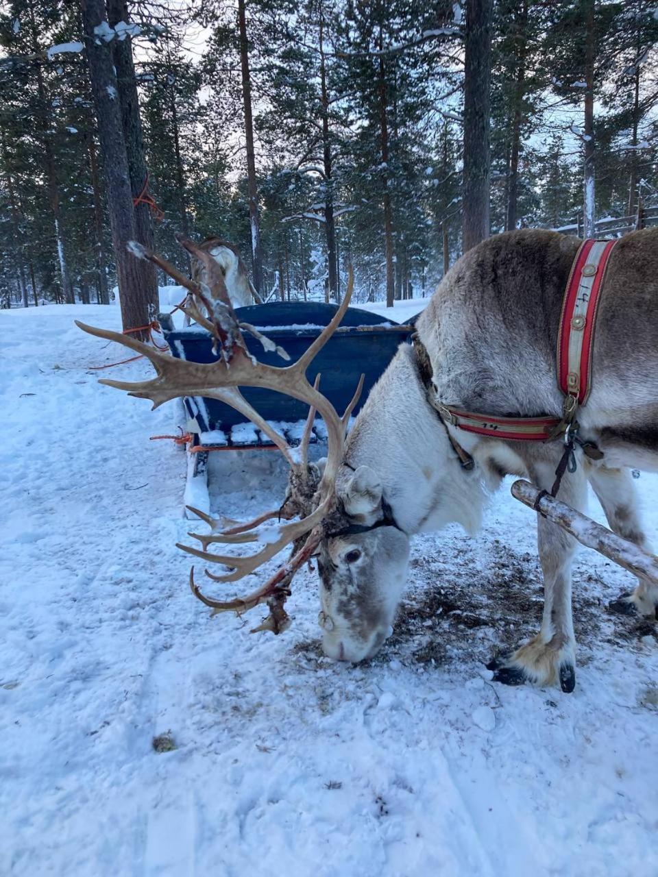 One-bedroom apartment in the center of Saariselkä