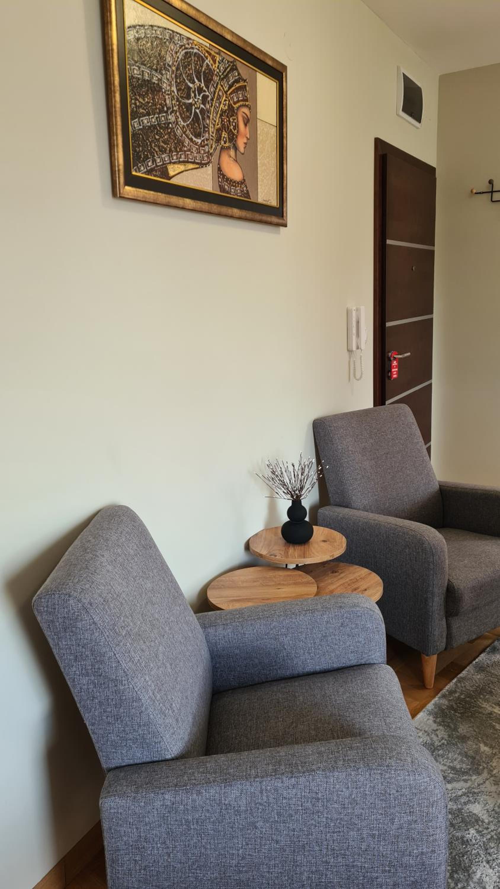 MS Apartman view 2