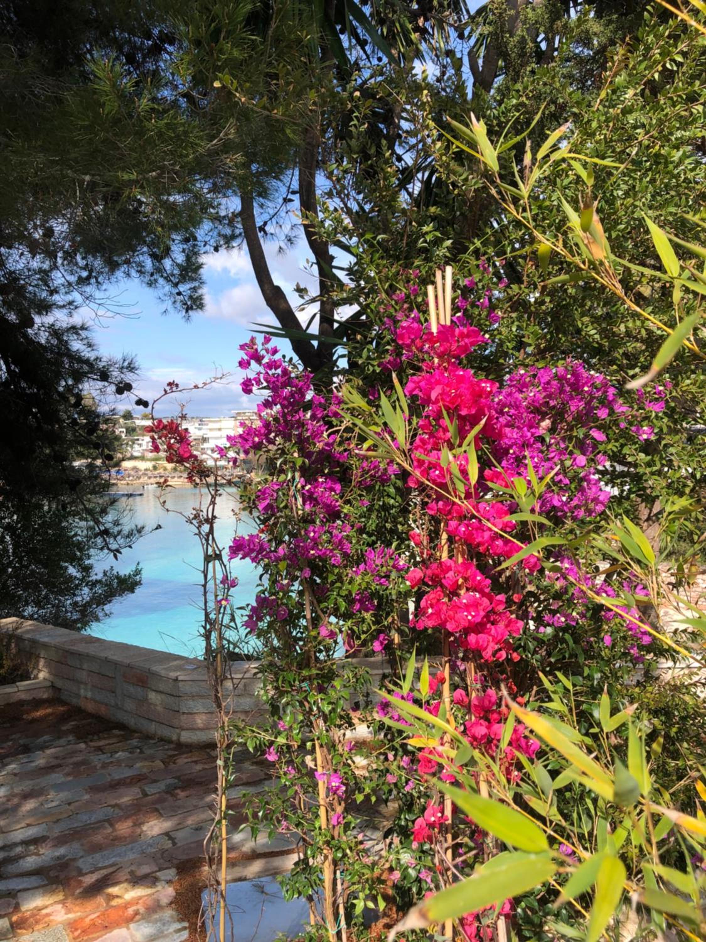 Villa Nanaj