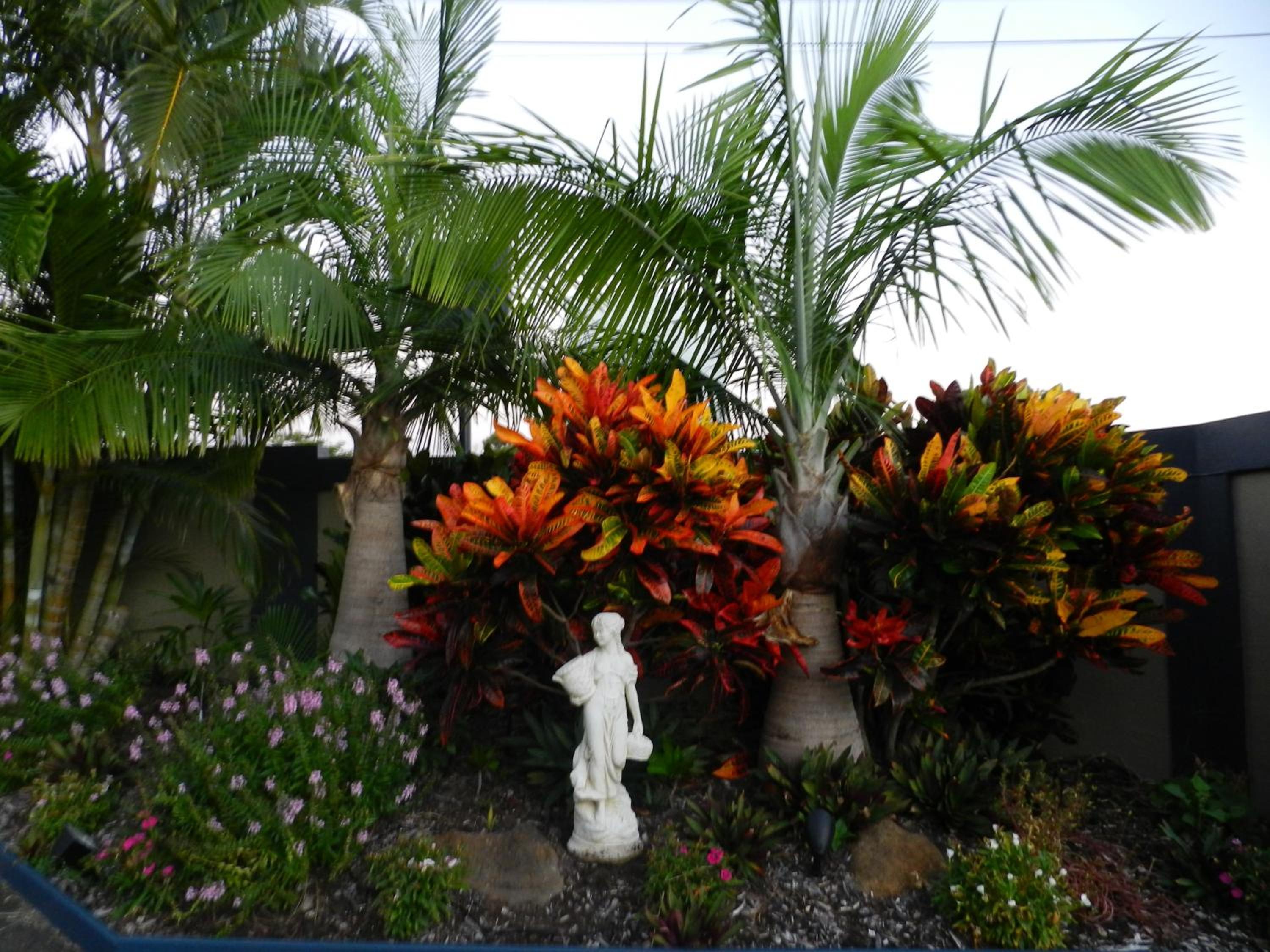 Golden Palms Motor Inn