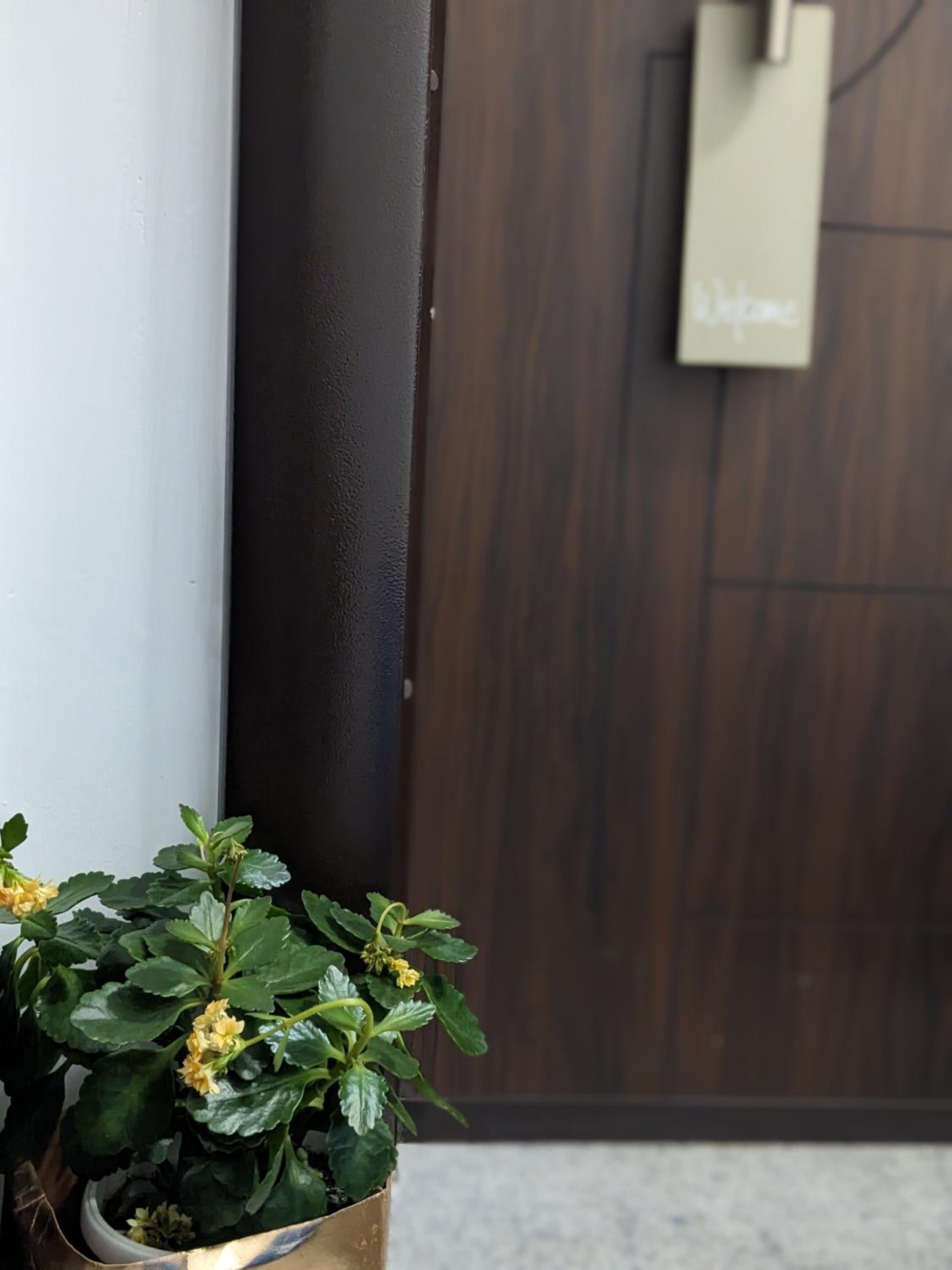 Chill Breeze Apartment