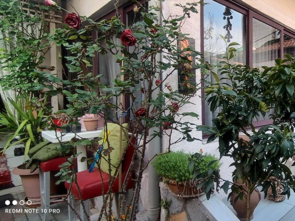 Guesthouse Hygge