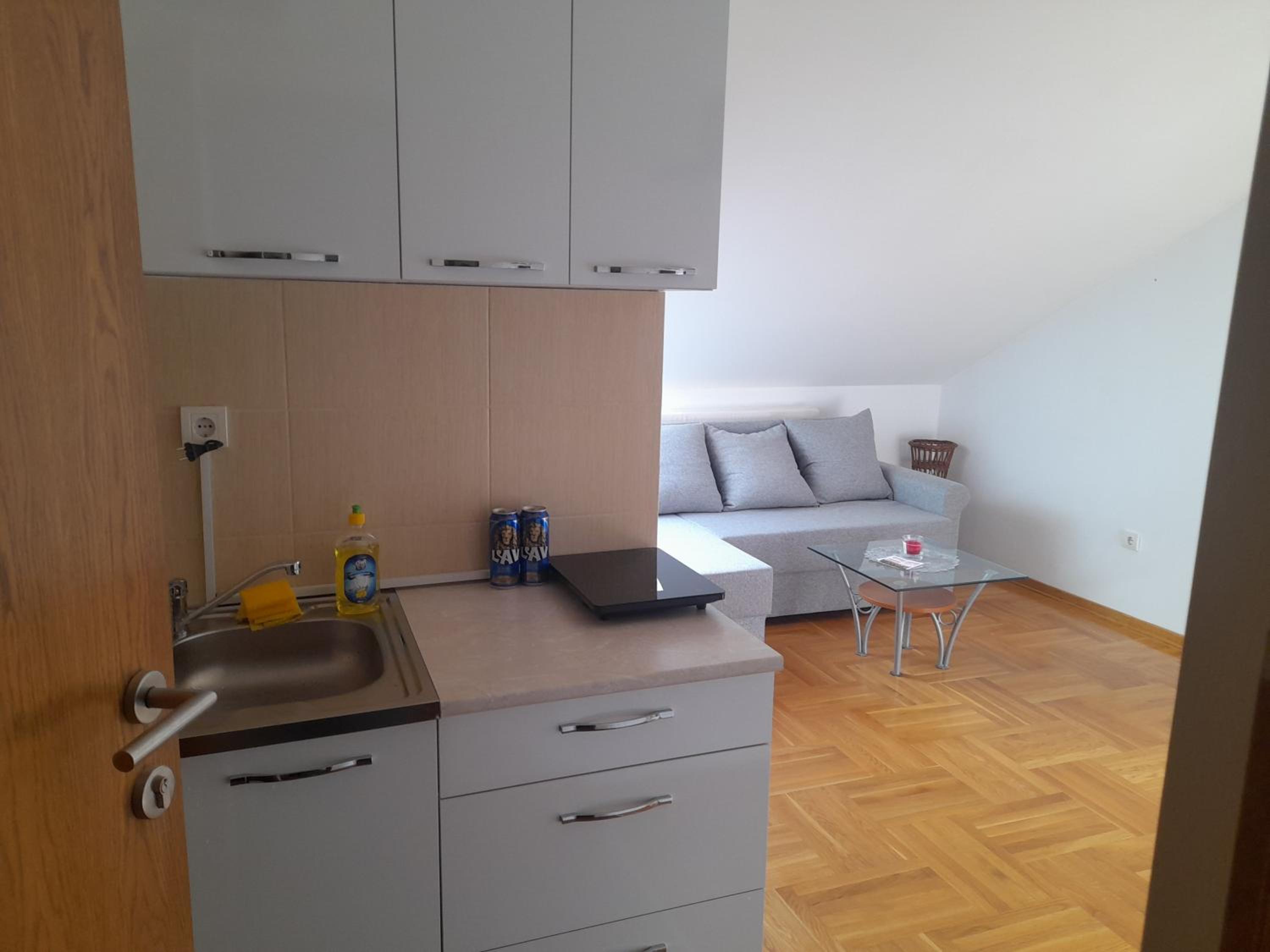 Apartman Ilic view 4