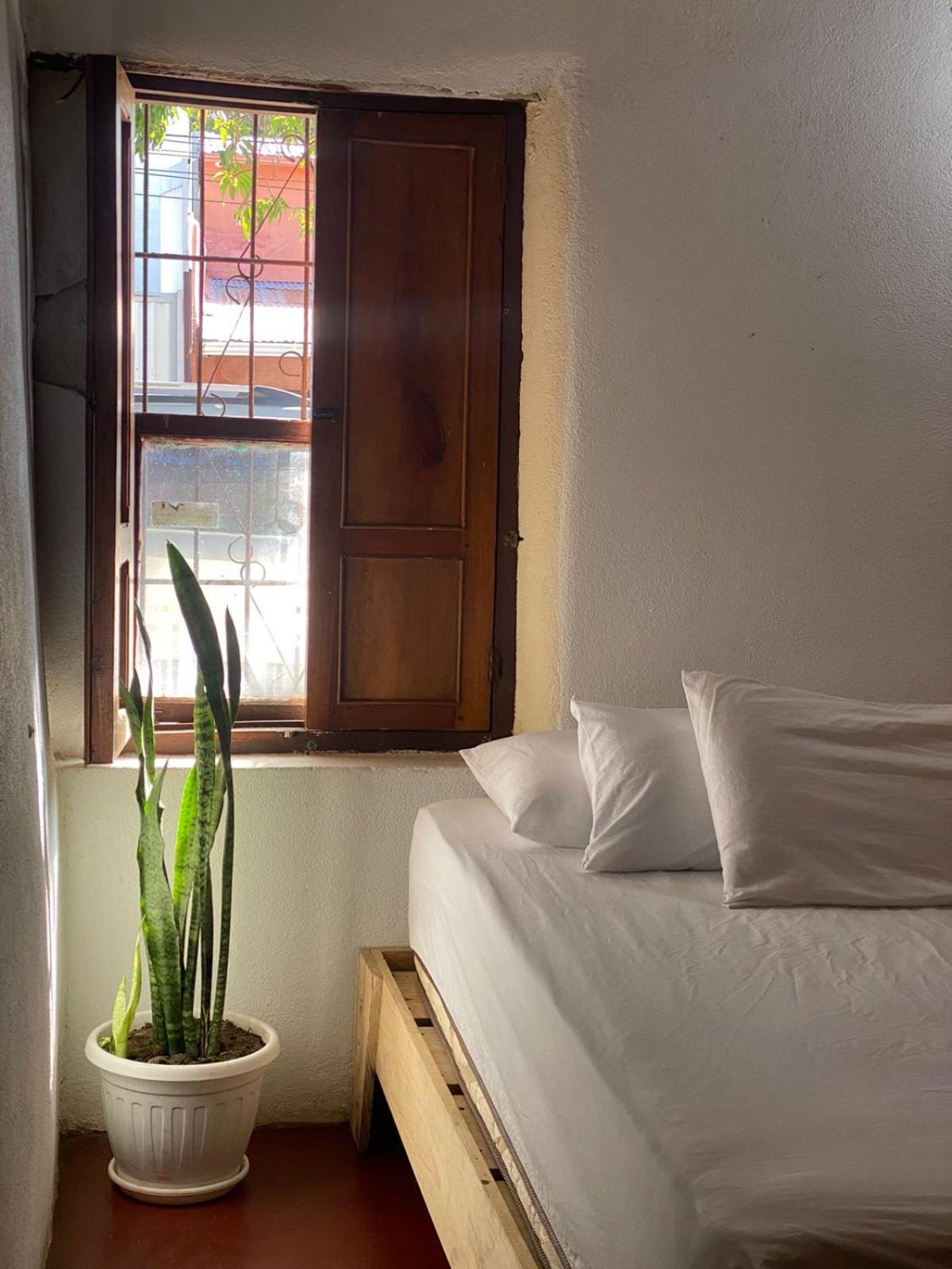 Puente Real Hostel view 2