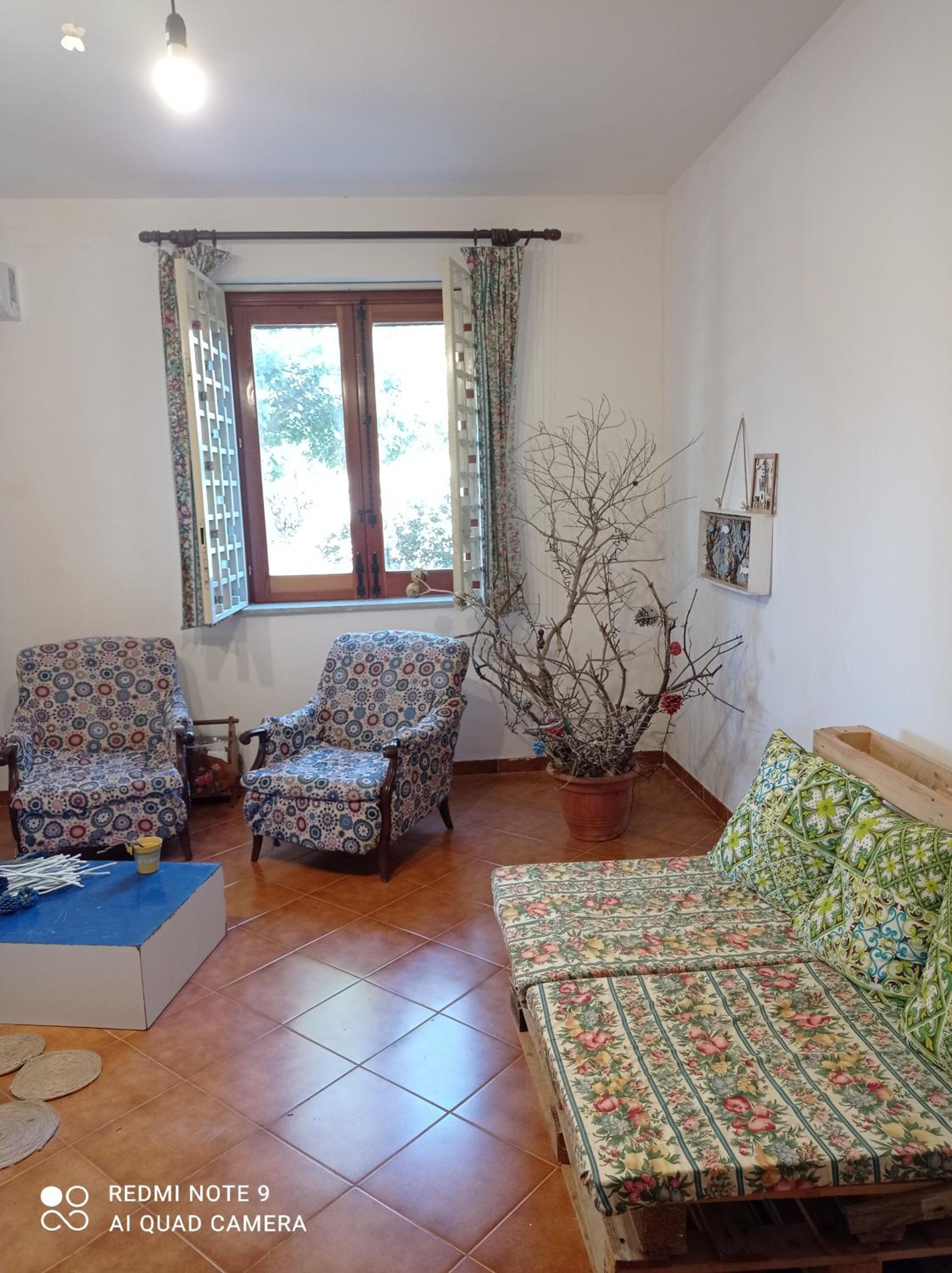 Sunset Cottage photo 4