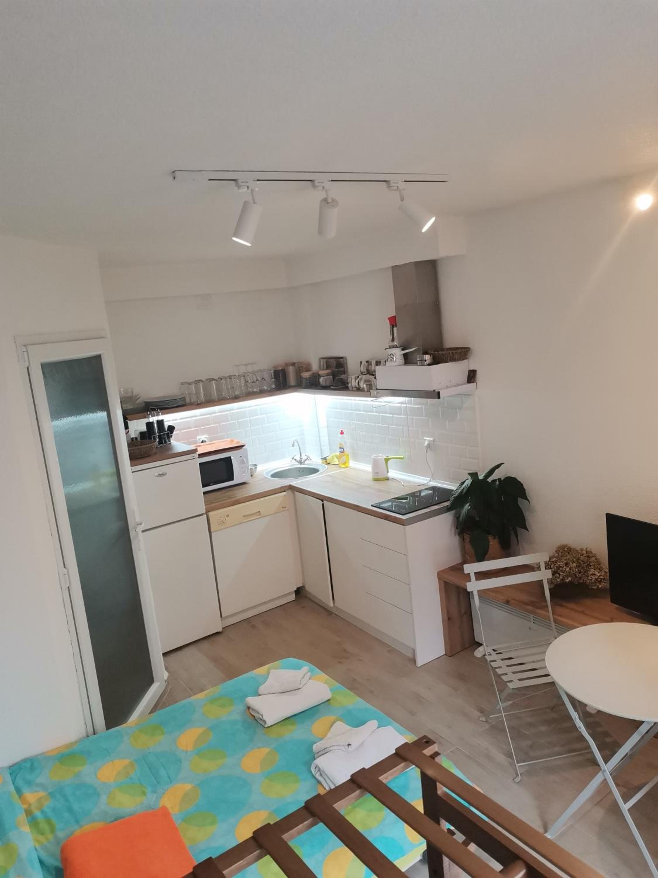 Chicago Studio Apartment view 4