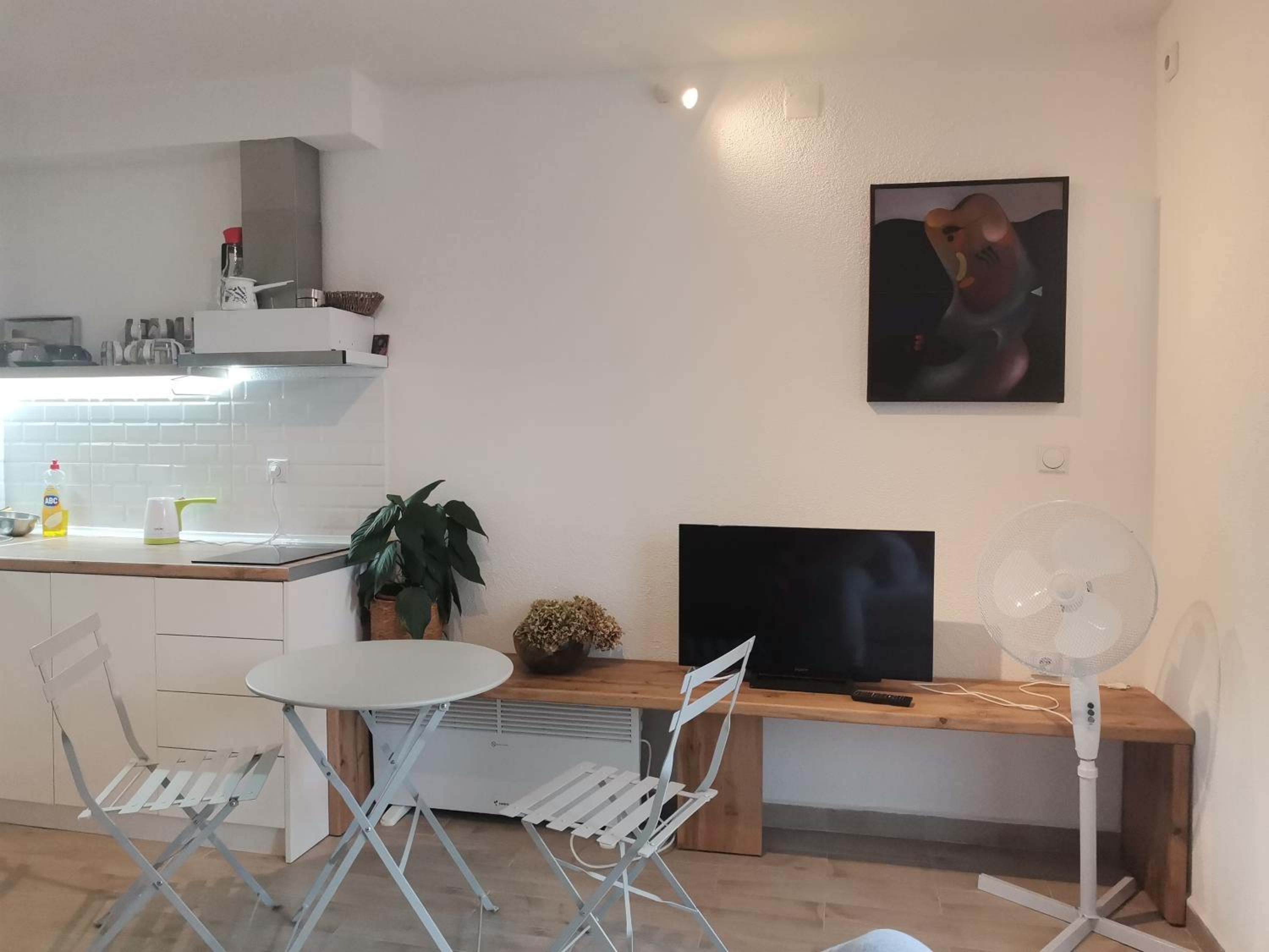 Chicago Studio Apartment view 3