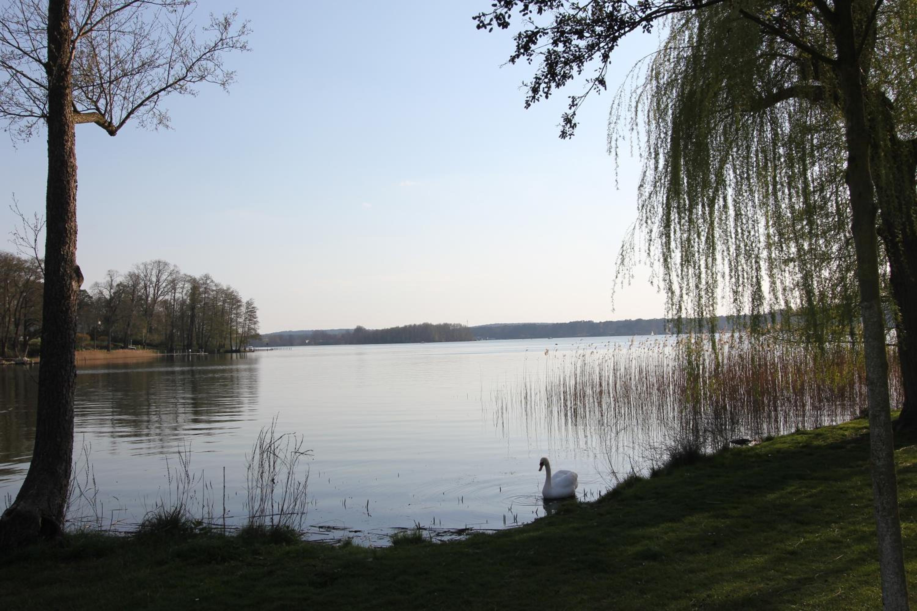 K8 FeWo - Am Kurpark - Therme