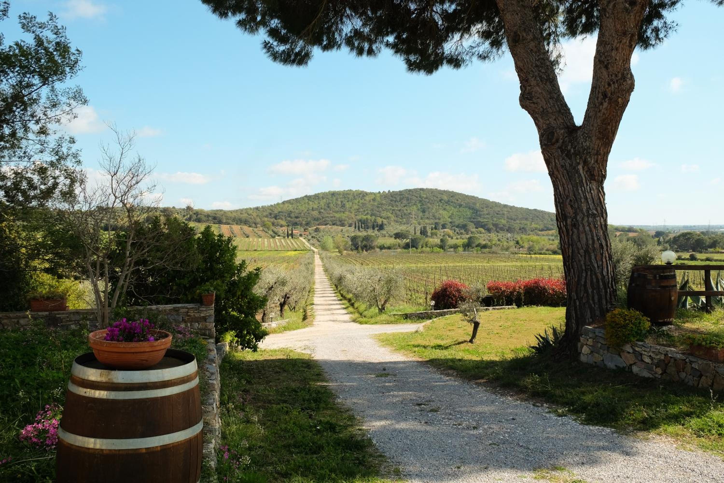 Agriturismo biologico Bulichella
