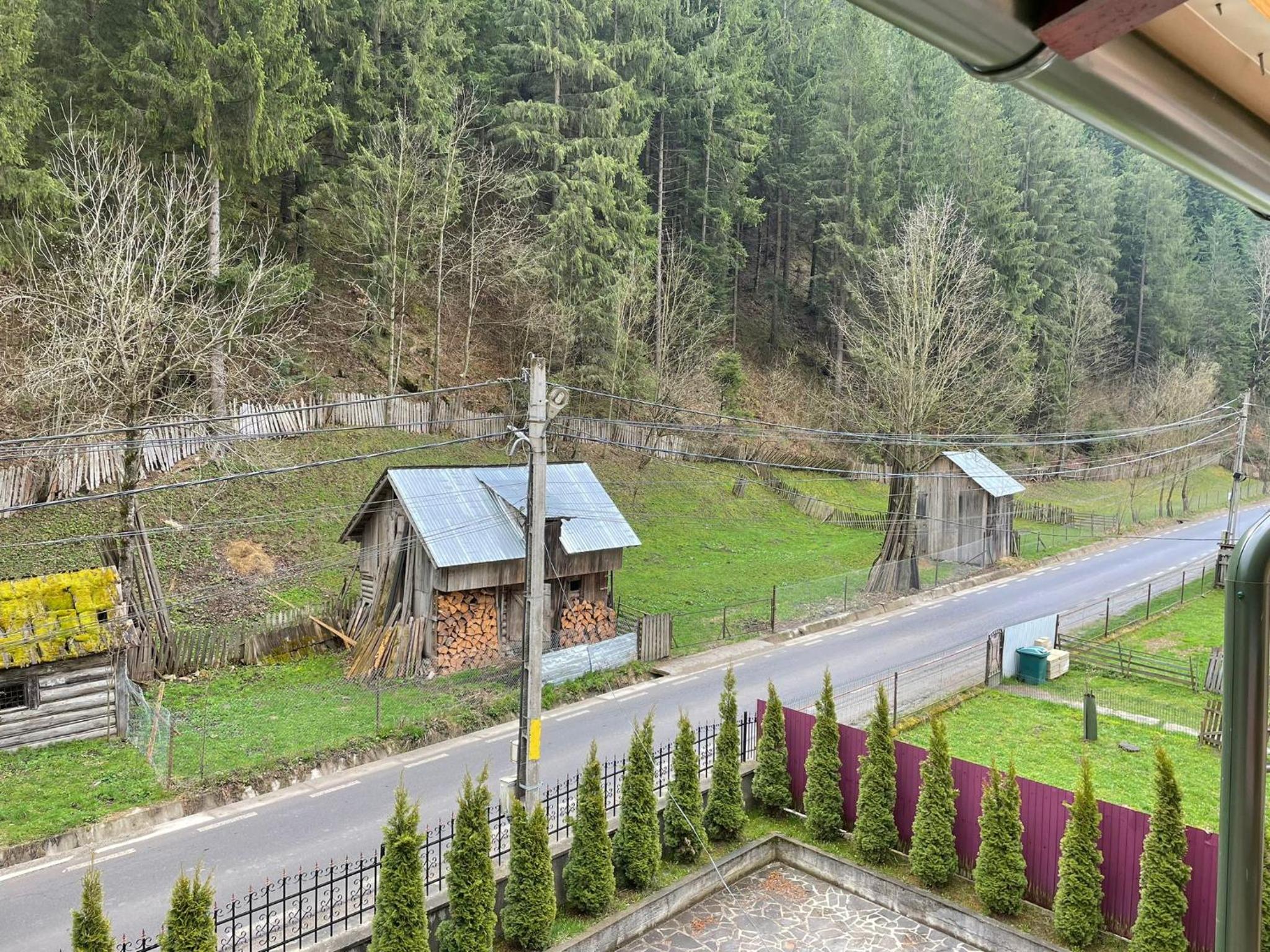 Pensiunea Pe drumuri de munte view 3