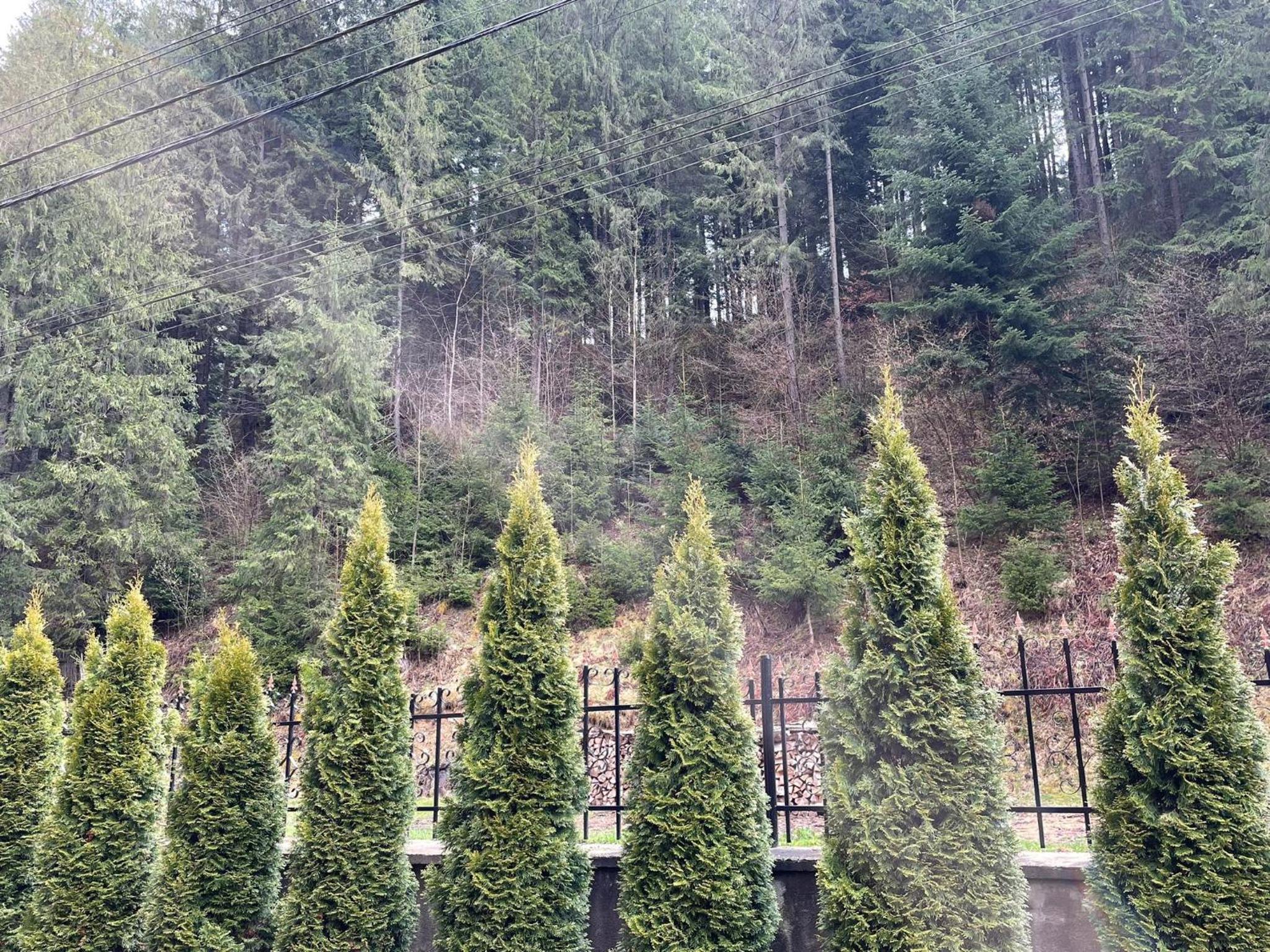 Pensiunea Pe drumuri de munte view 4