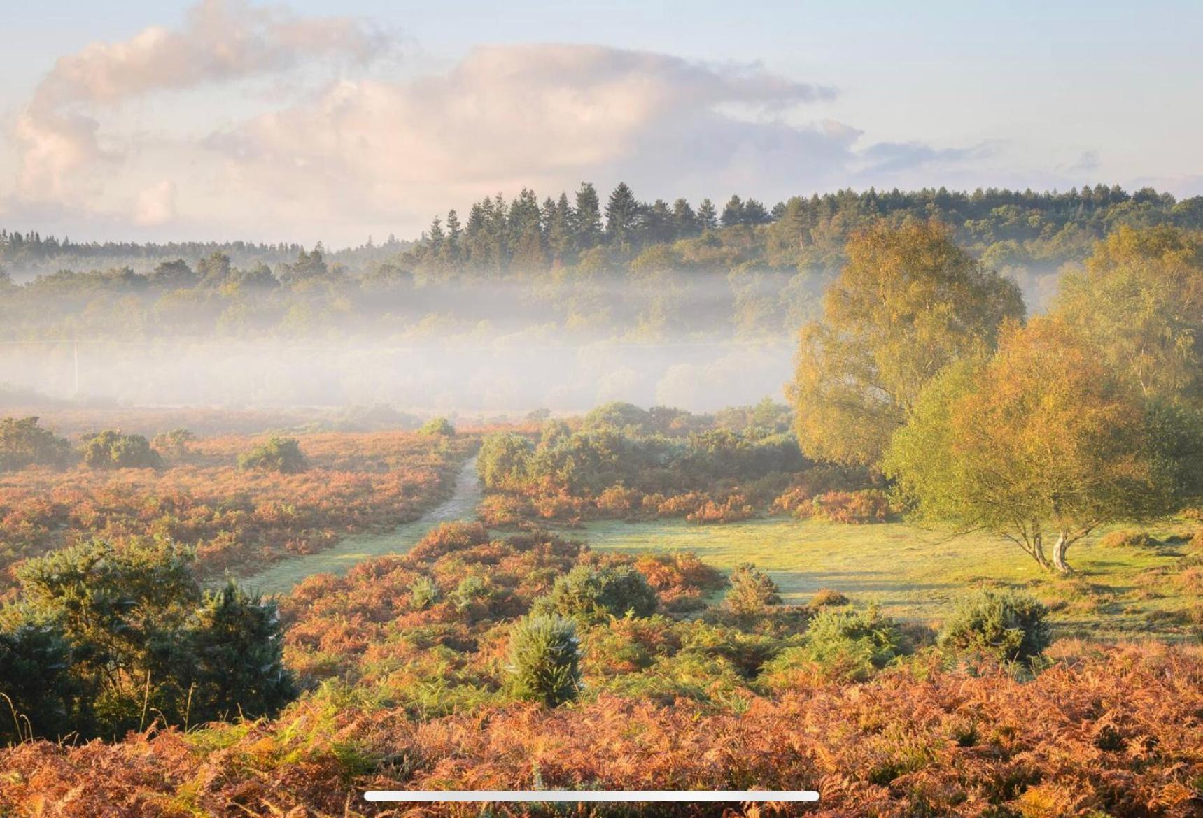 Holbury B&B view 5