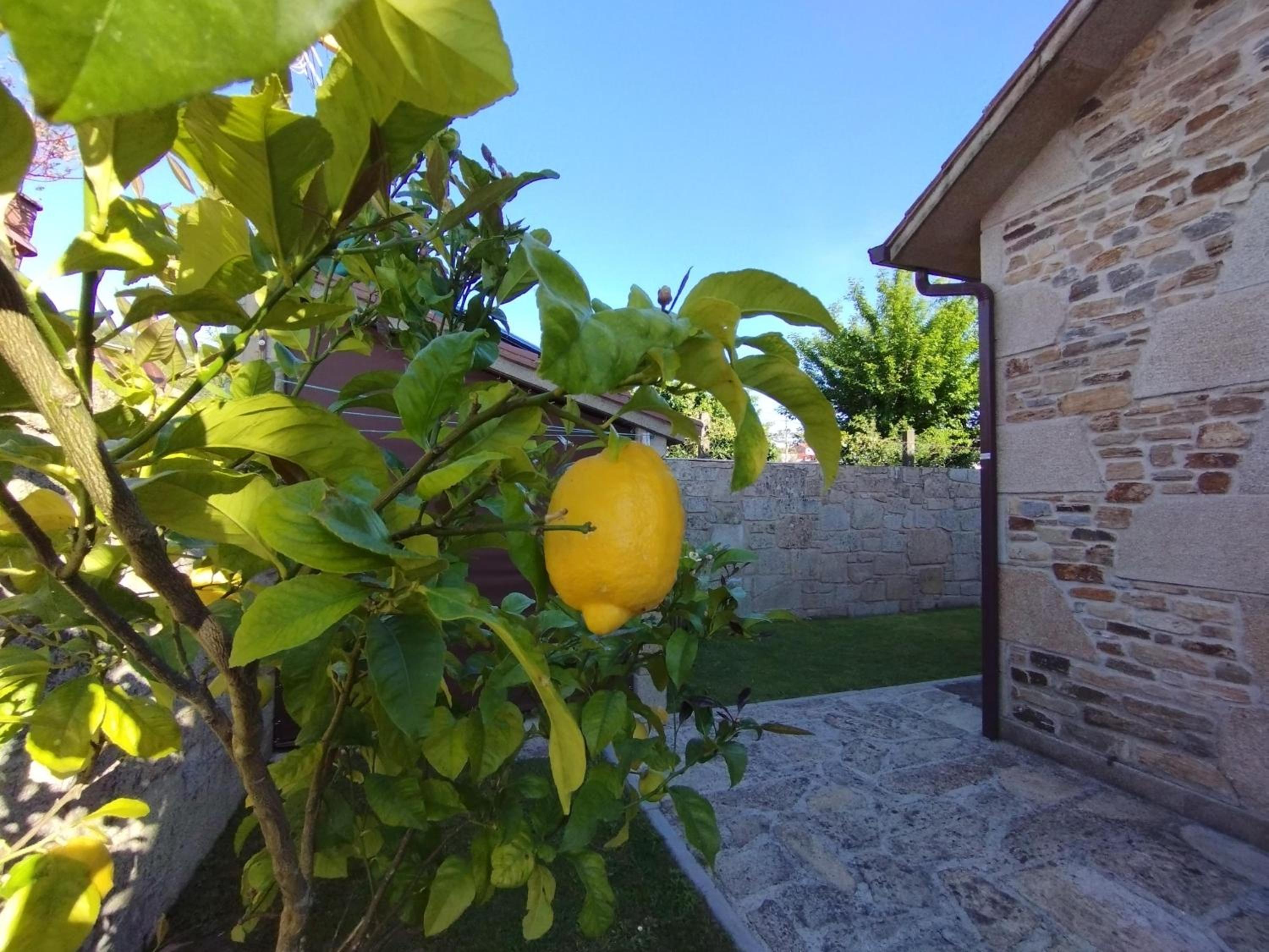 Villa A Canle