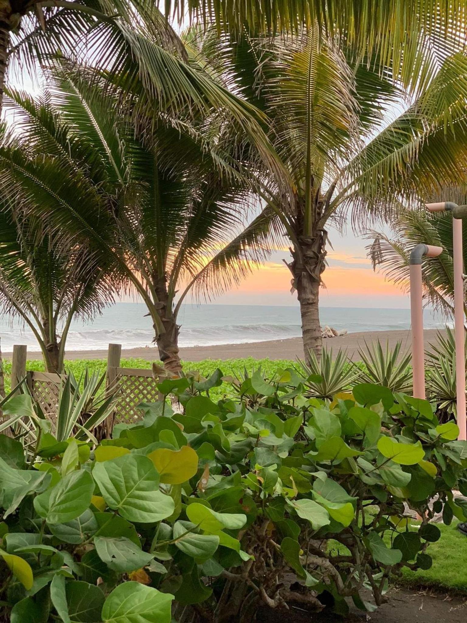 Casa, Cabo Tortugas, Monterrico view 5