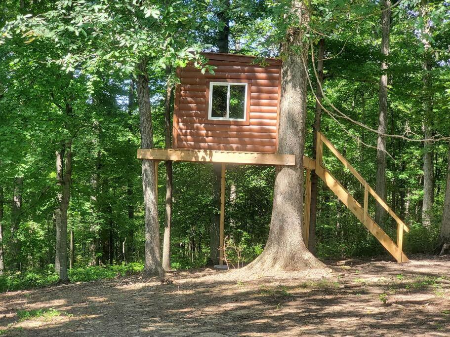 Kentucky Hills Country Cottage - Country Life