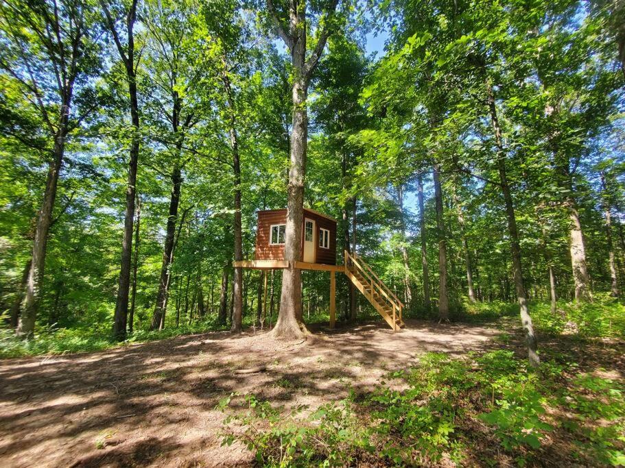 Kentucky Hills Country Cottage - Country Life