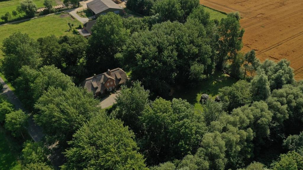 Dachgeschosswohnung Warft Simmerdeis in Reetdachhaus mit parkähnlichem Garten