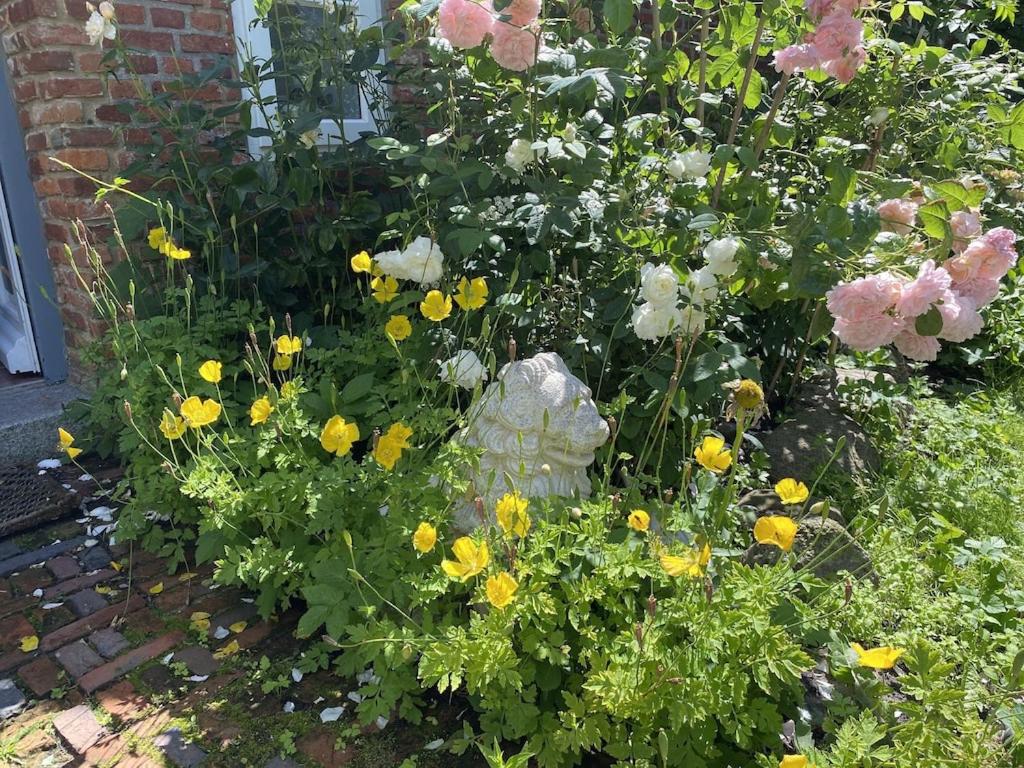 Dachgeschosswohnung Warft Simmerdeis in Reetdachhaus mit parkähnlichem Garten