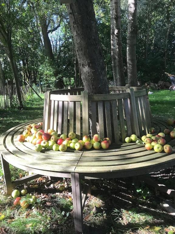 Dachgeschosswohnung Warft Simmerdeis in Reetdachhaus mit parkähnlichem Garten