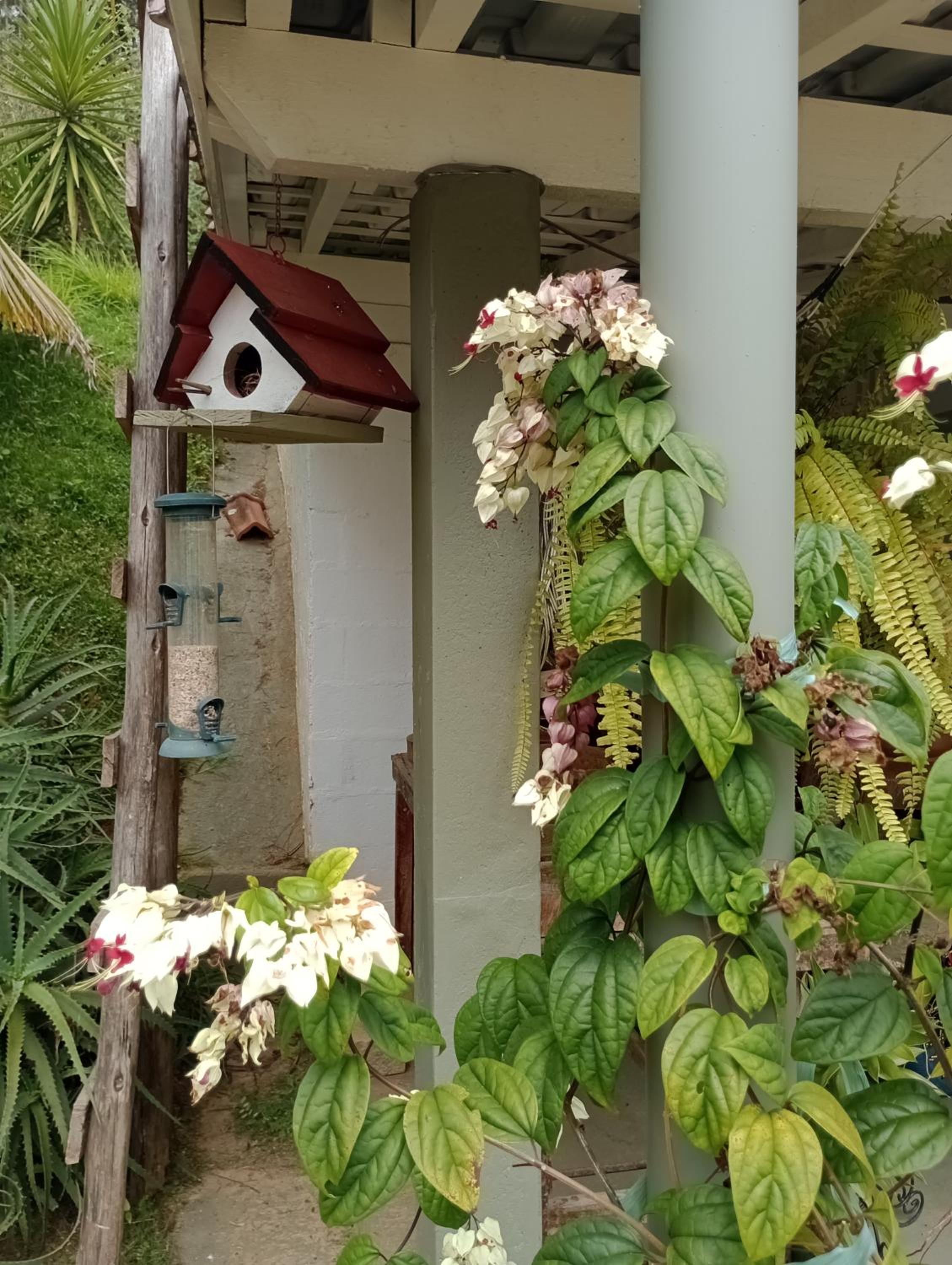 Nossa Casa Da Montanha