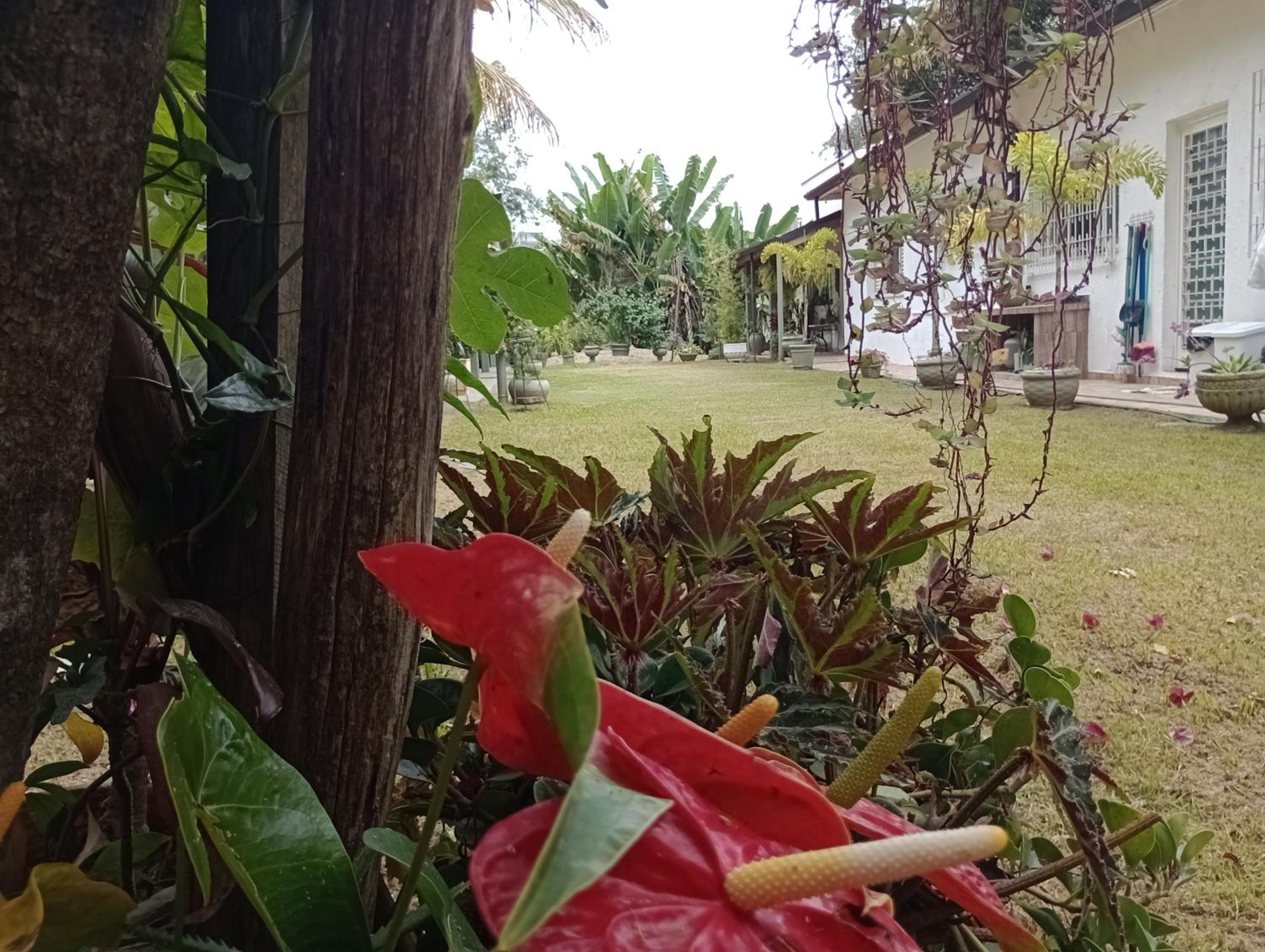 Nossa Casa Da Montanha