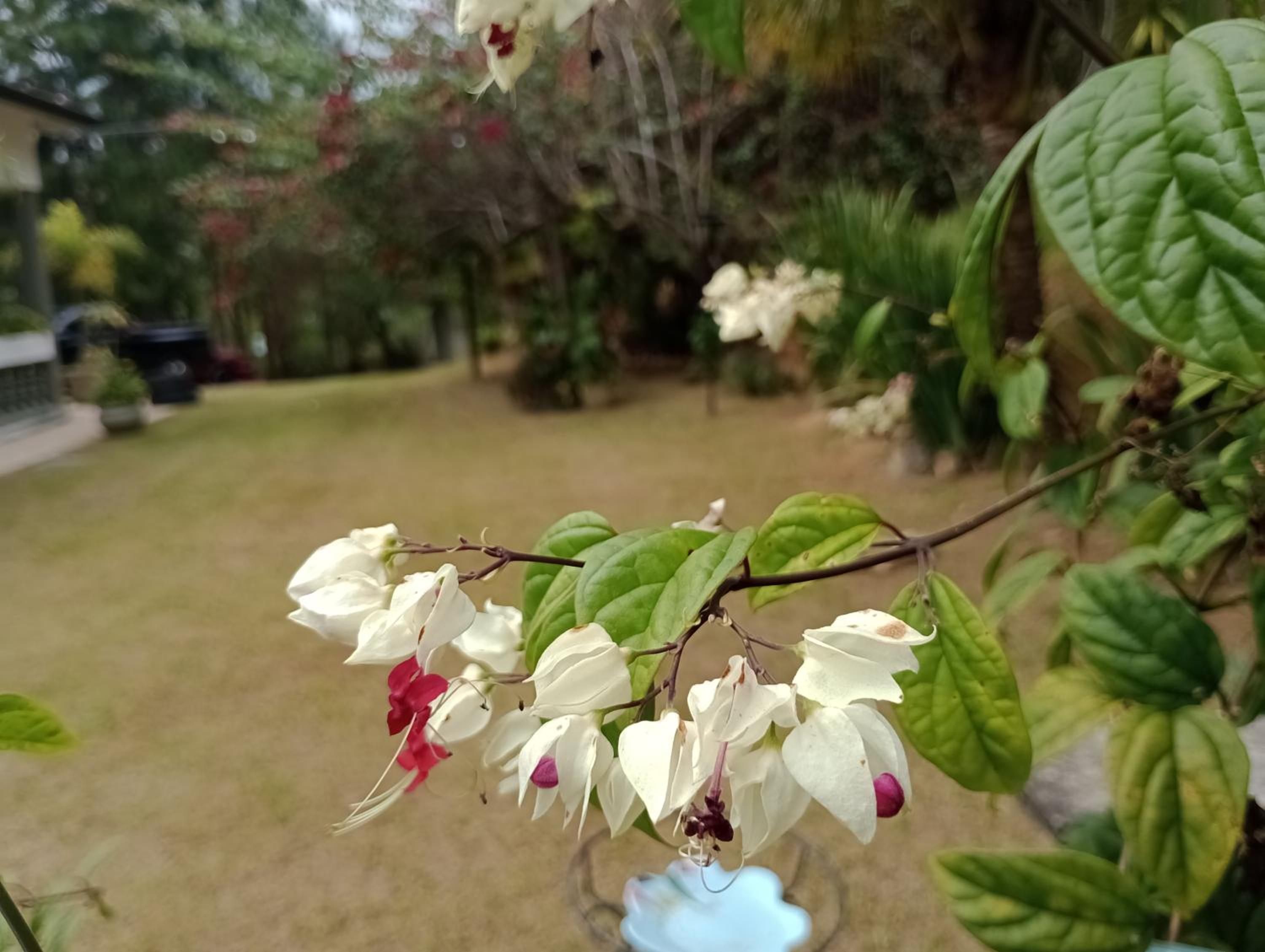 Nossa Casa Da Montanha