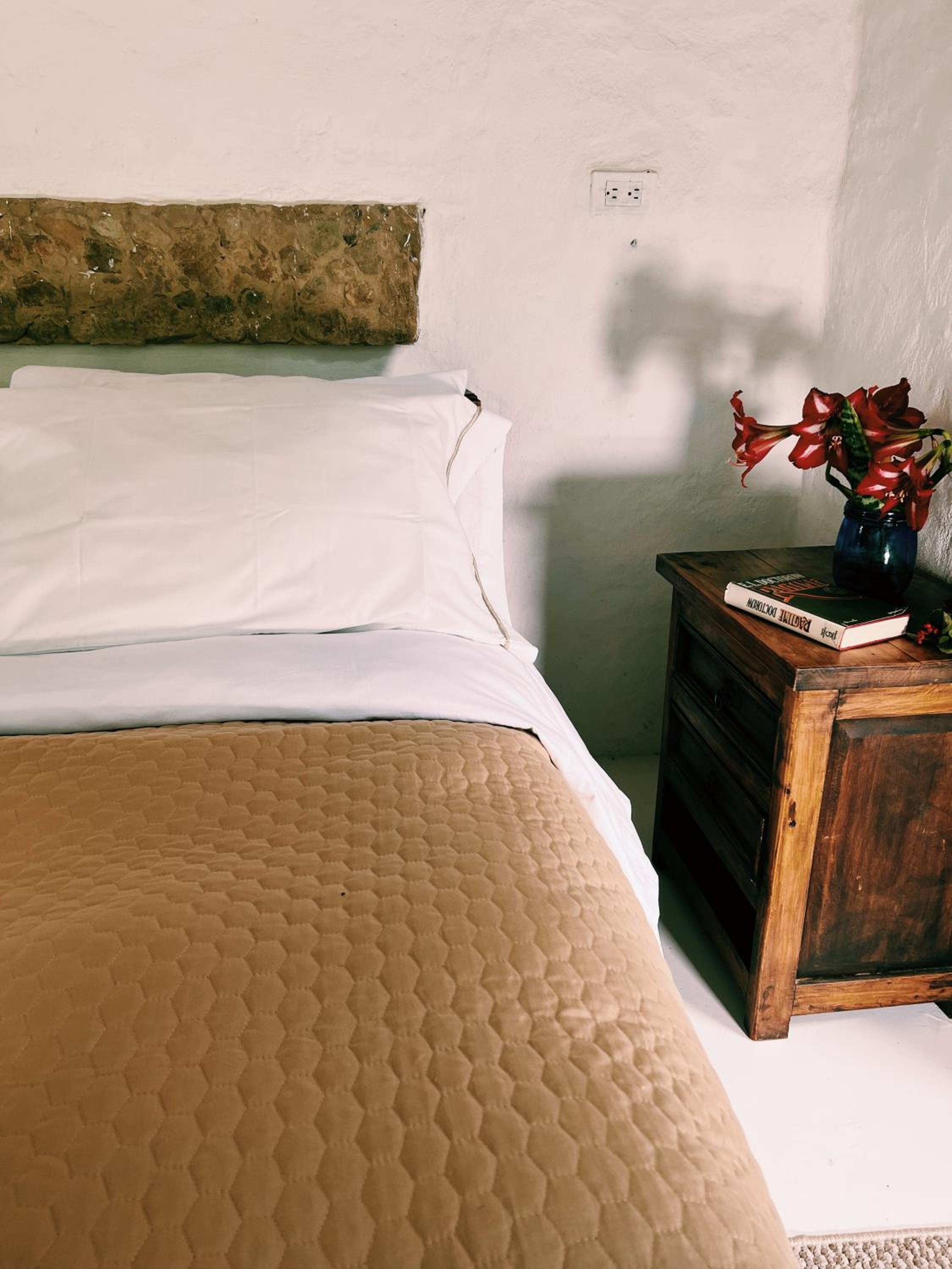 El Hayuelo Ecolodge